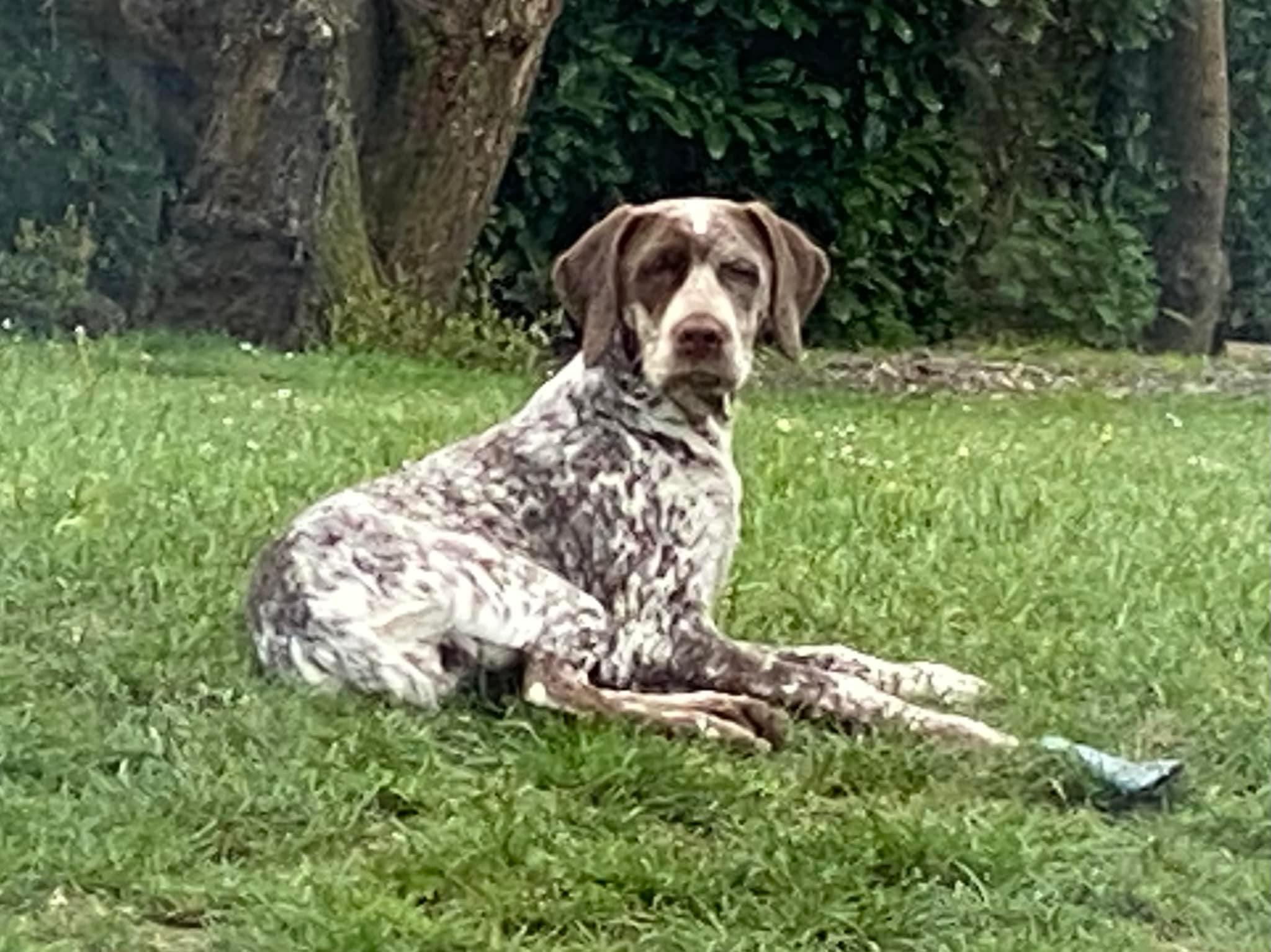 JurassicweyMargotANess