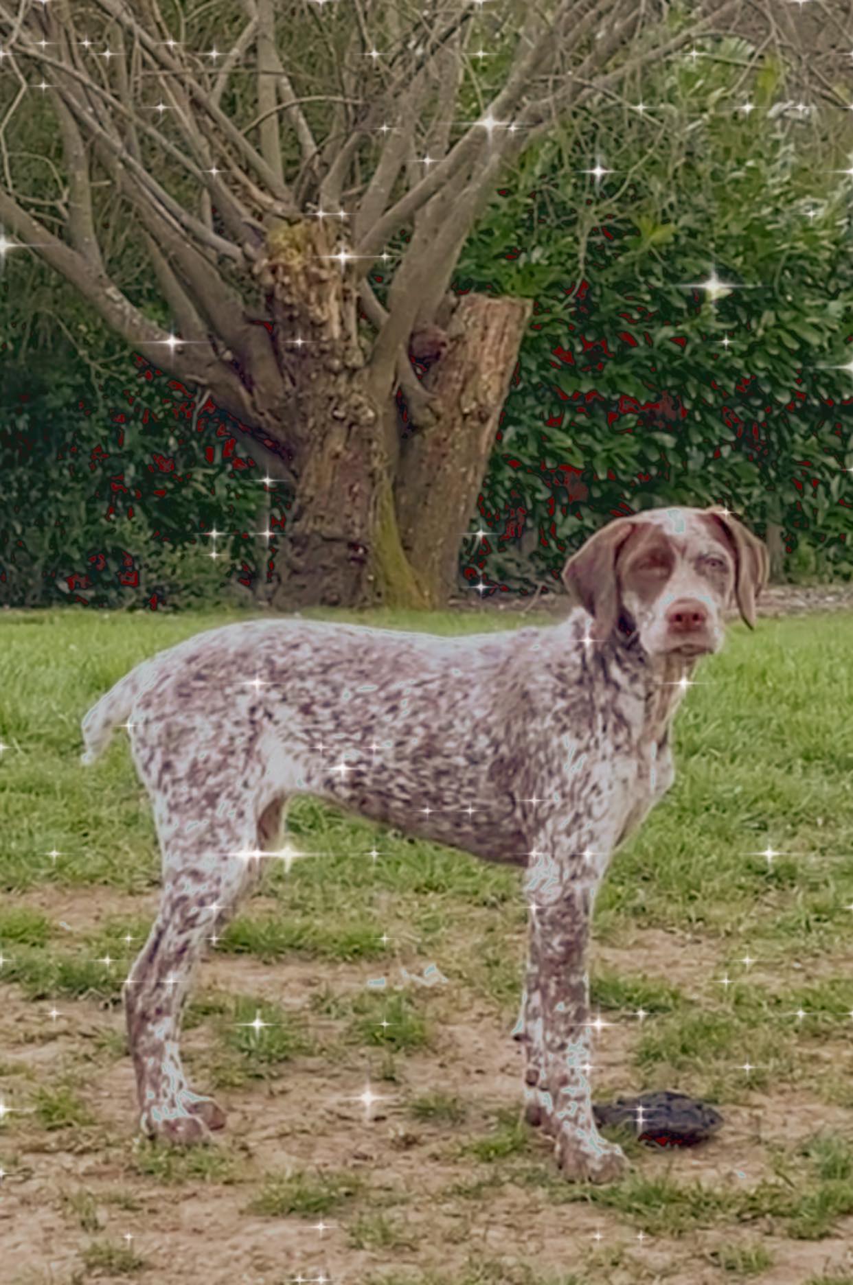 JurassicweyMargotANess