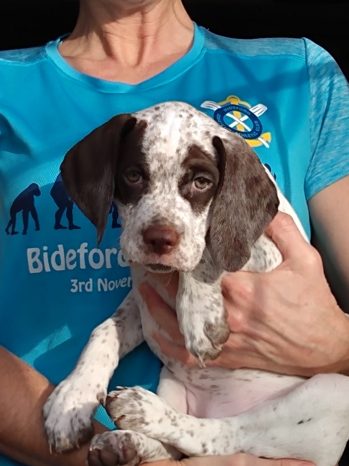 Jurassicwey Morwenna