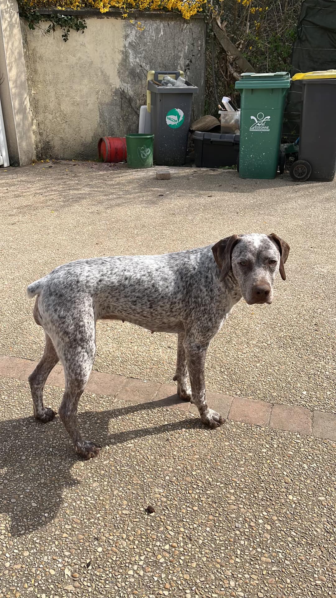 SallyDesPetitsMariols