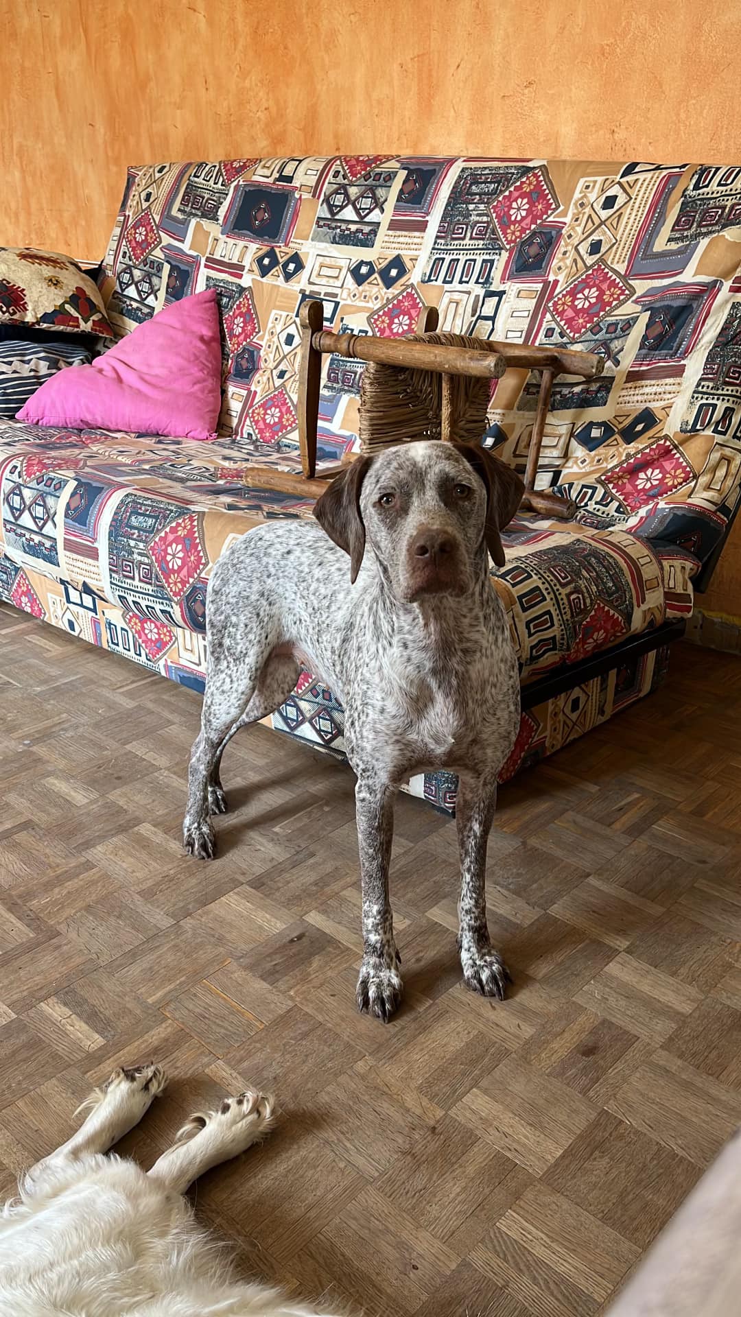 SallyDesPetitsMariols