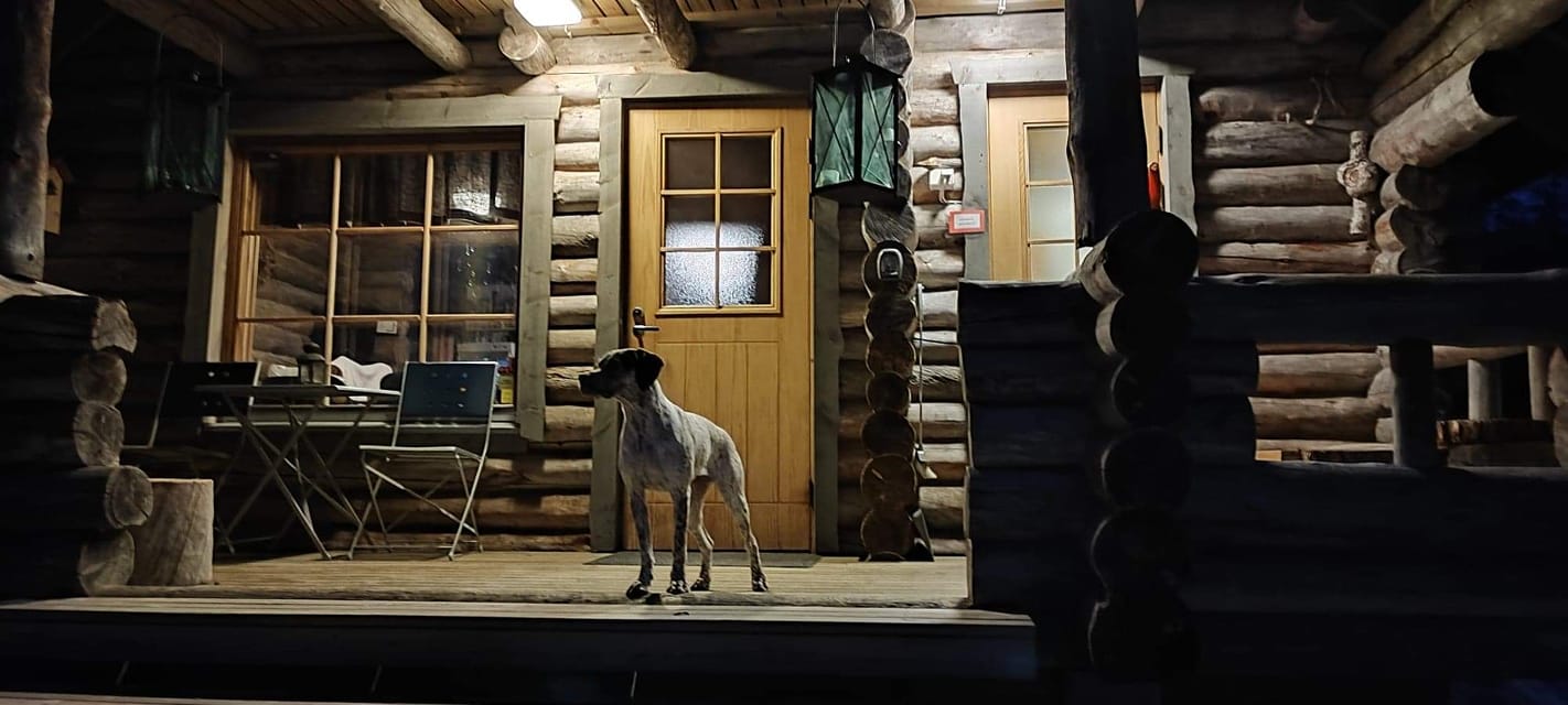 SharonDesPetitsMariols