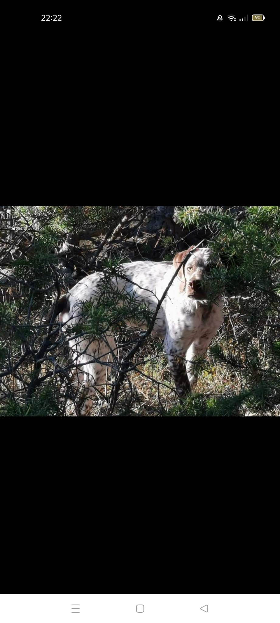 SherlockDuBoisDeLaHulotte