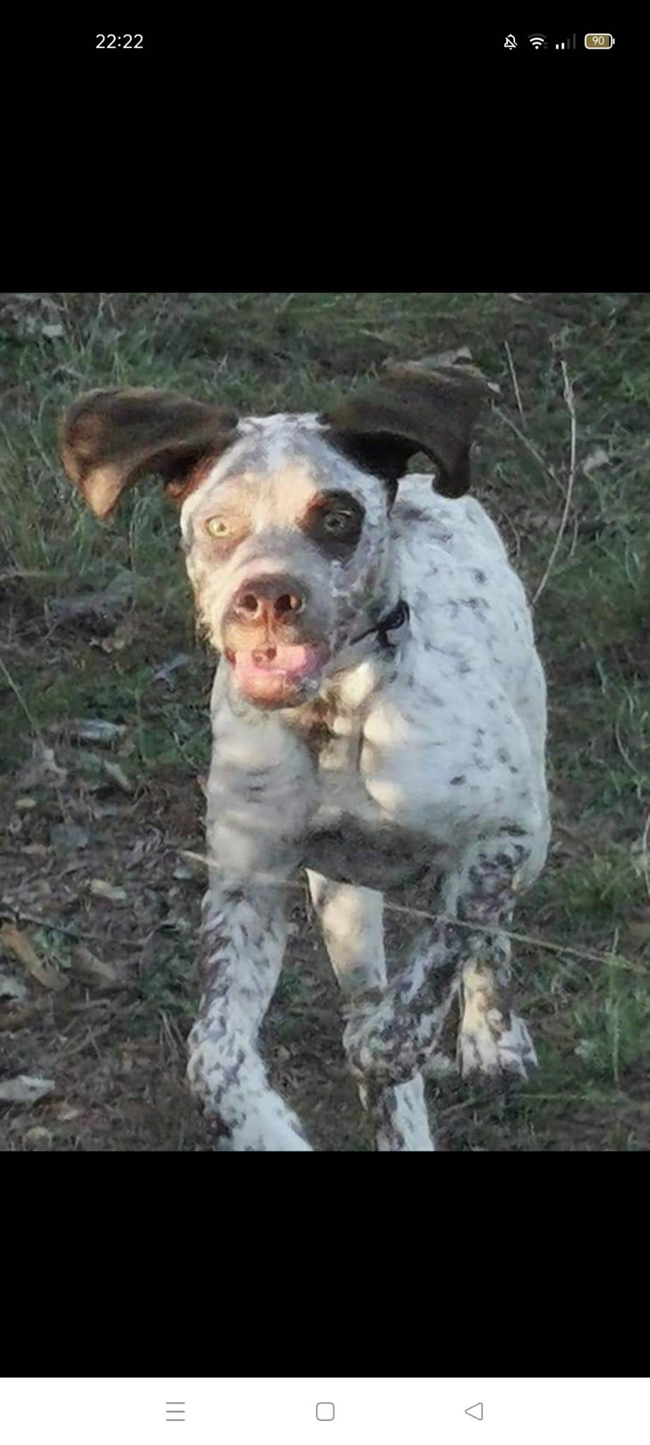 SherlockDuBoisDeLaHulotte