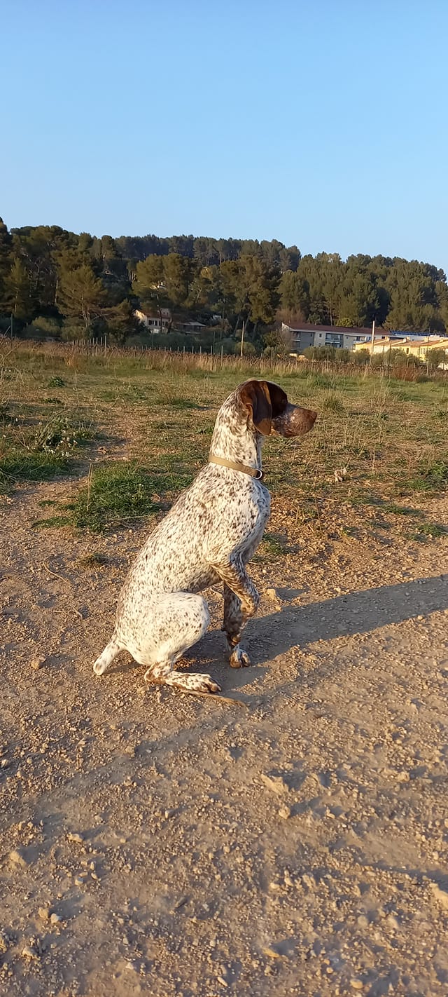 SmartiesDesFinsNezDuMeygal