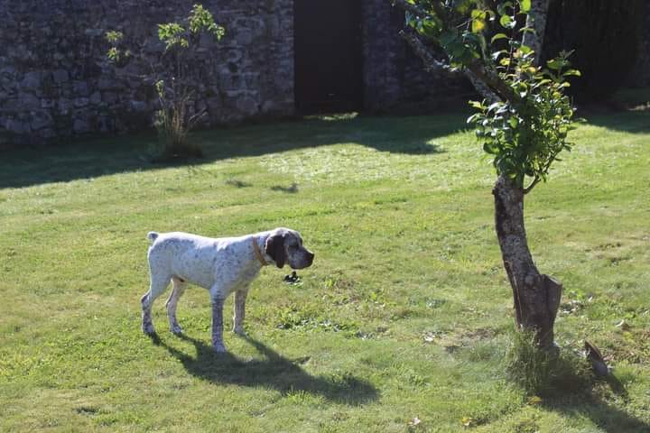 Soldat de la Fontaine des Domes