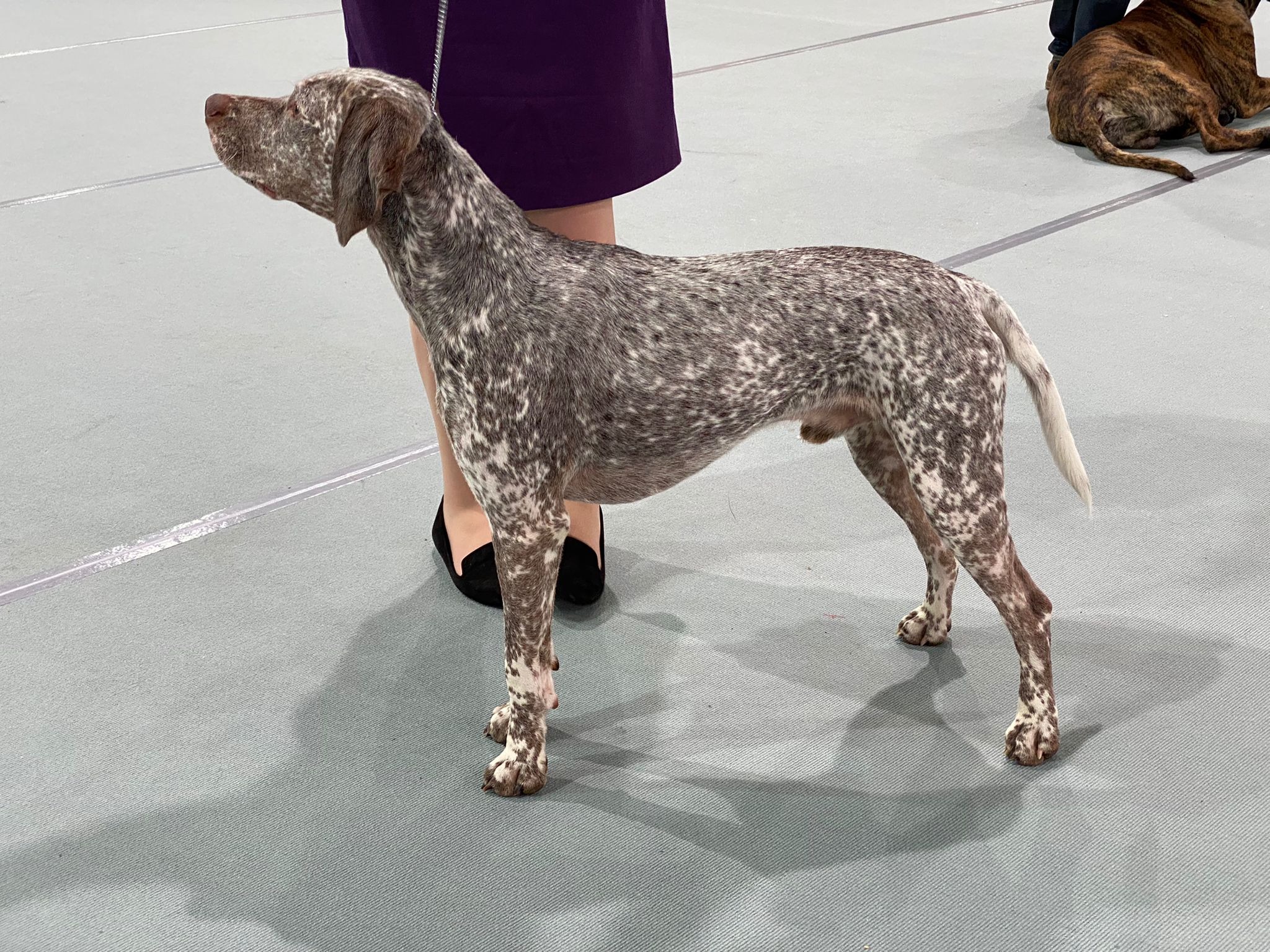 SpectroliteSVanillaBourbon