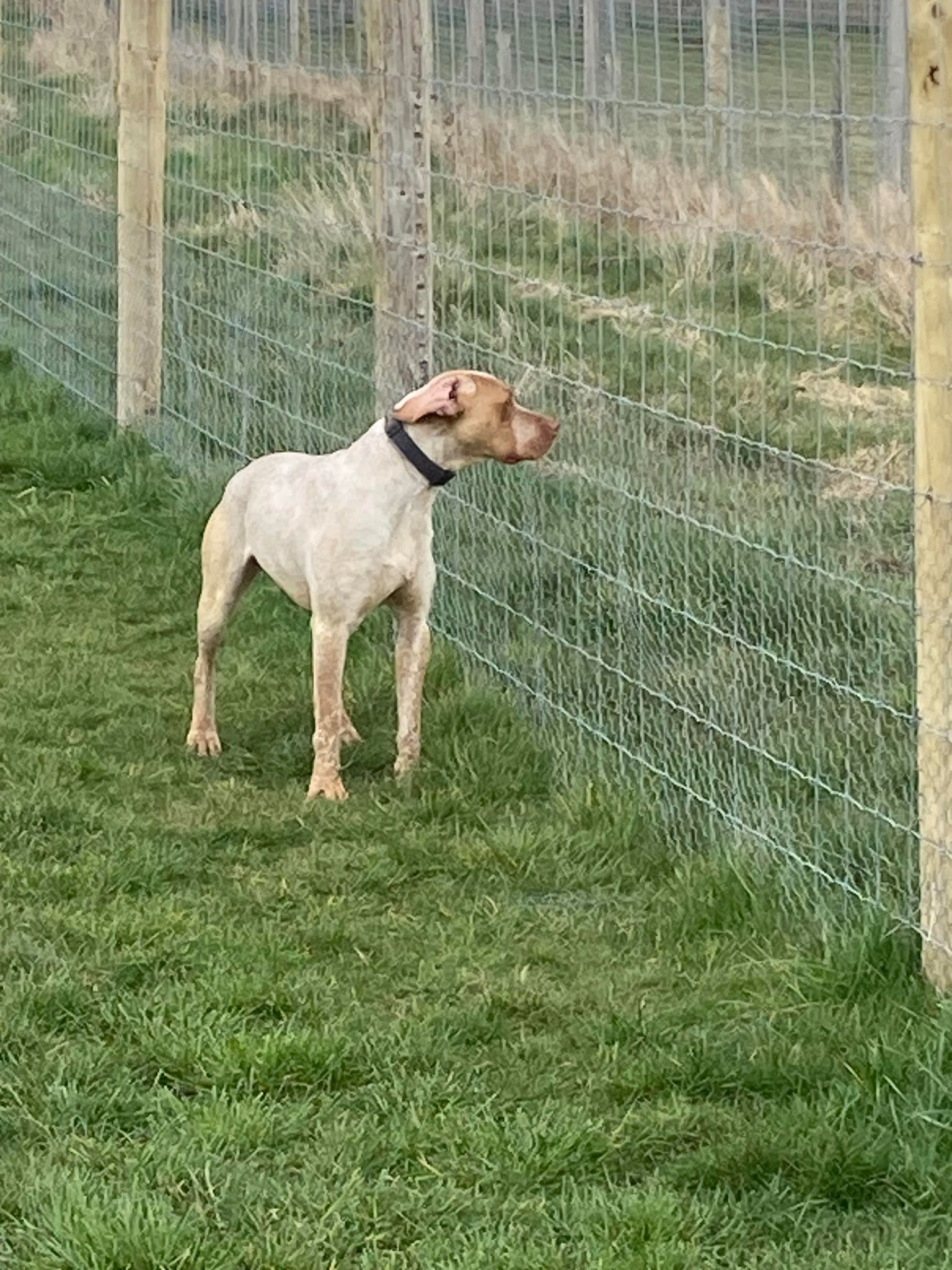 SudanDeLaLandeDeBourberouge