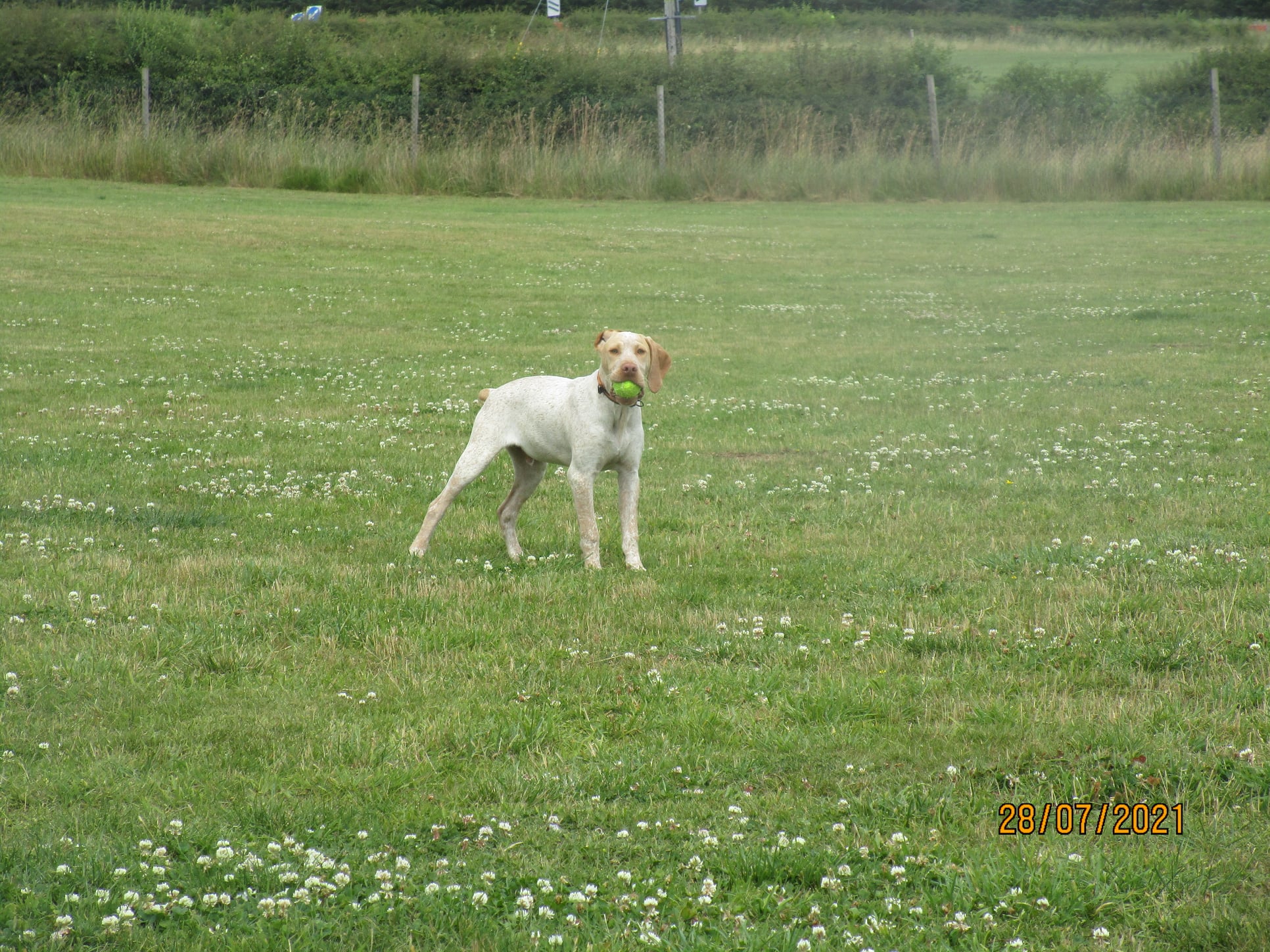 SudanDeLaLandeDeBourberouge