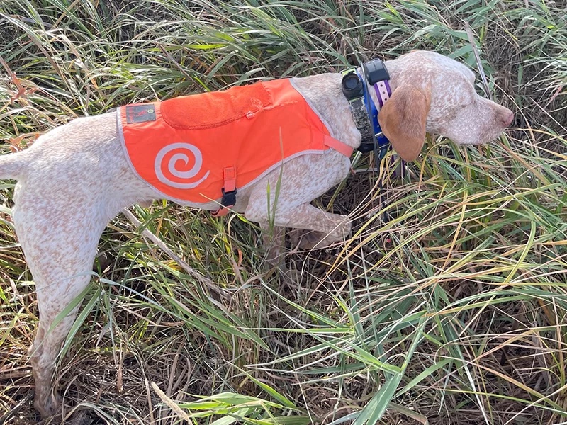 VoyageursPointGarciaJerry