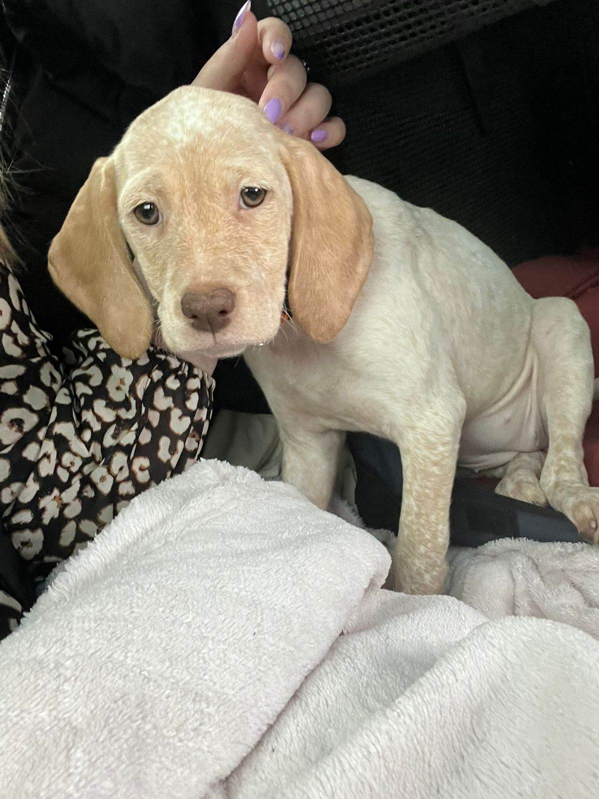 FeelTheMomentMazasBrolis