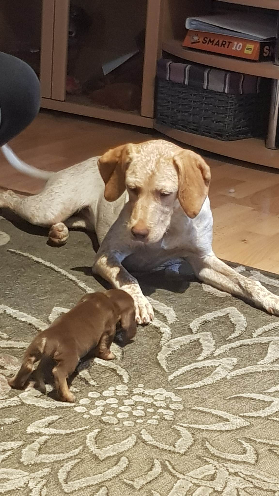 FeelTheMomentMazasBrolis