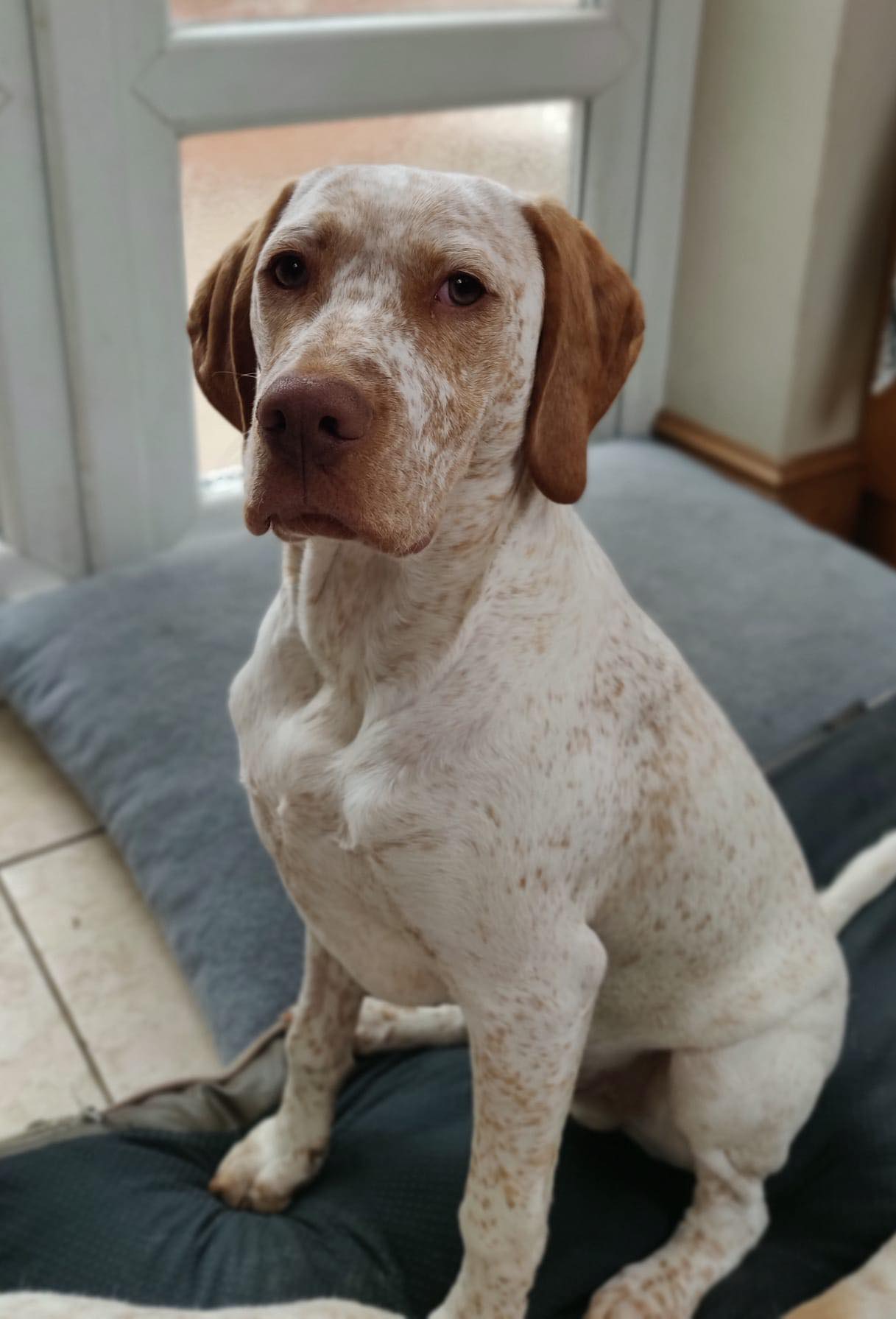 FradaikeeQuantumLeap