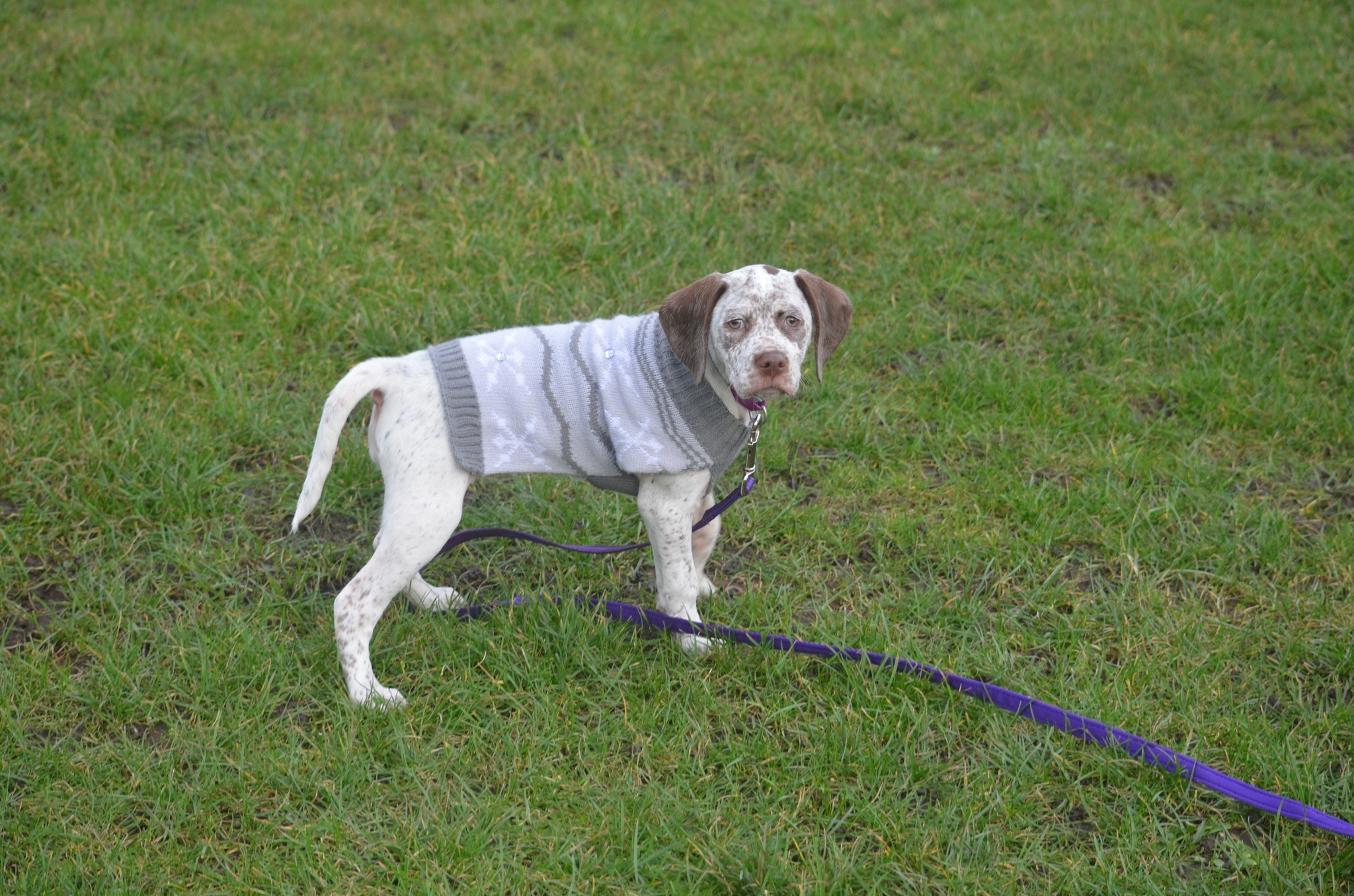 FradaikeeQuantumOfSolace