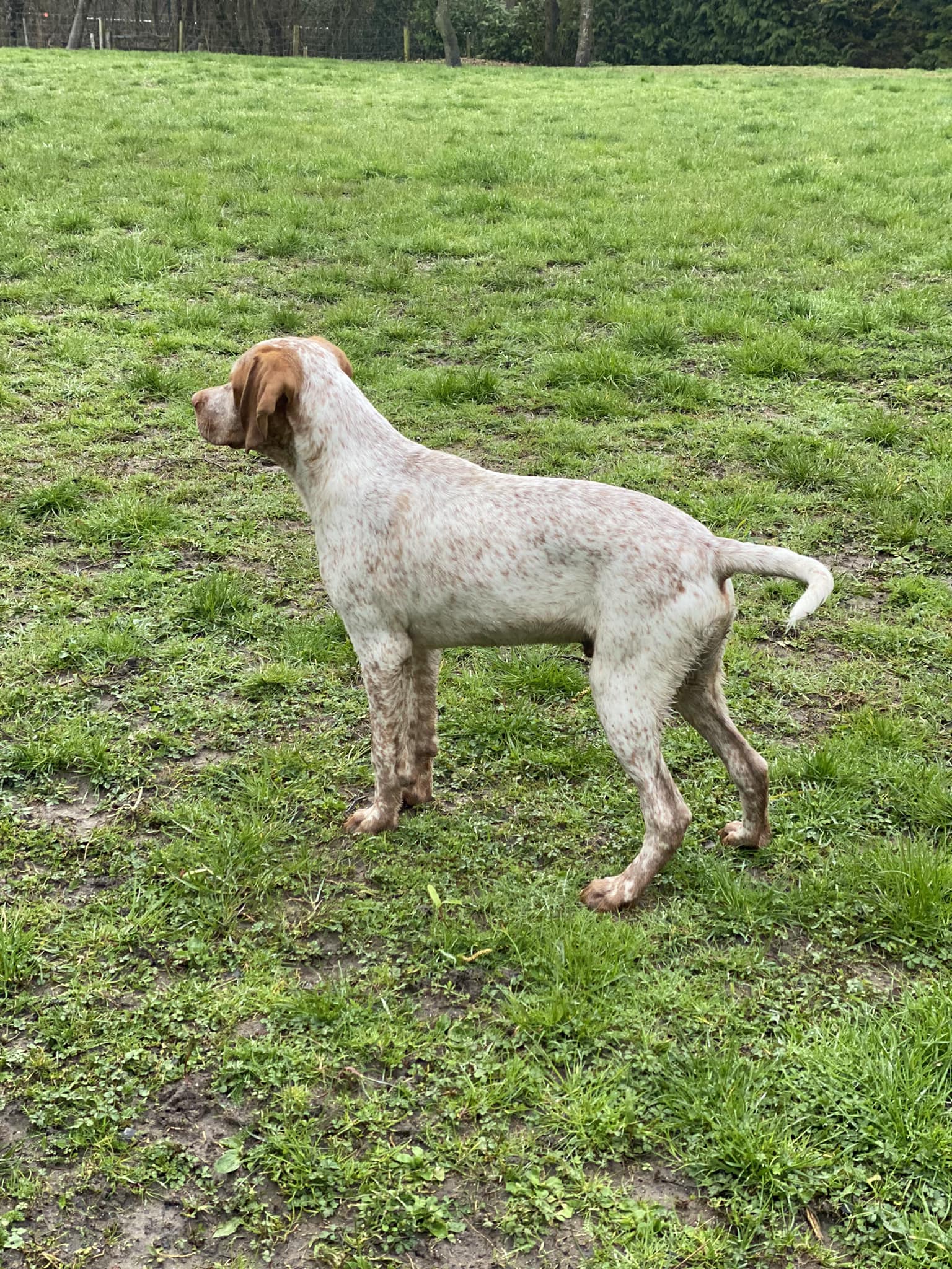 FradaikeeQuantumOfSolace