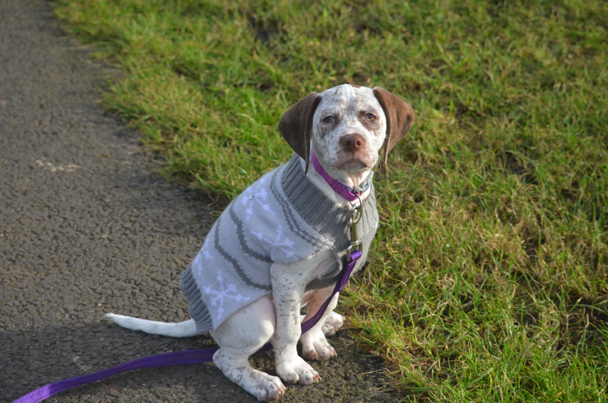 FradaikeeQuantumOfSolace