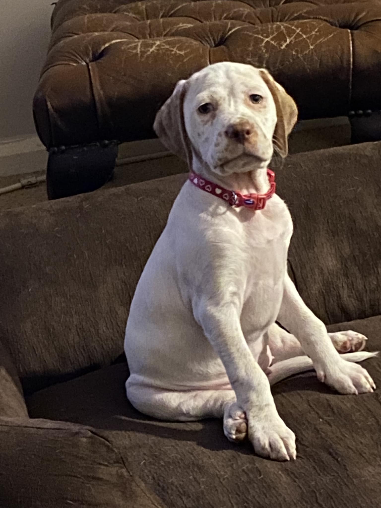 FradaikeeQuantumOfSolace