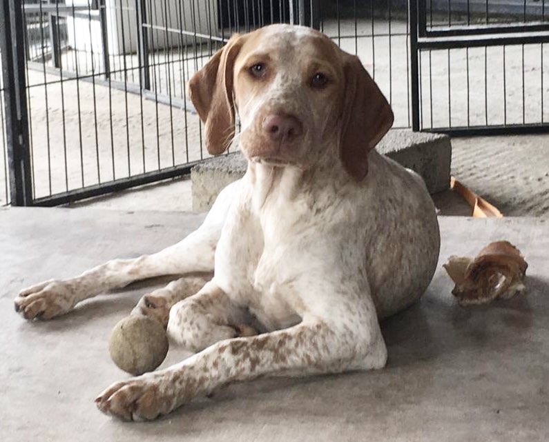 FradaikeeQueenOfTheNight