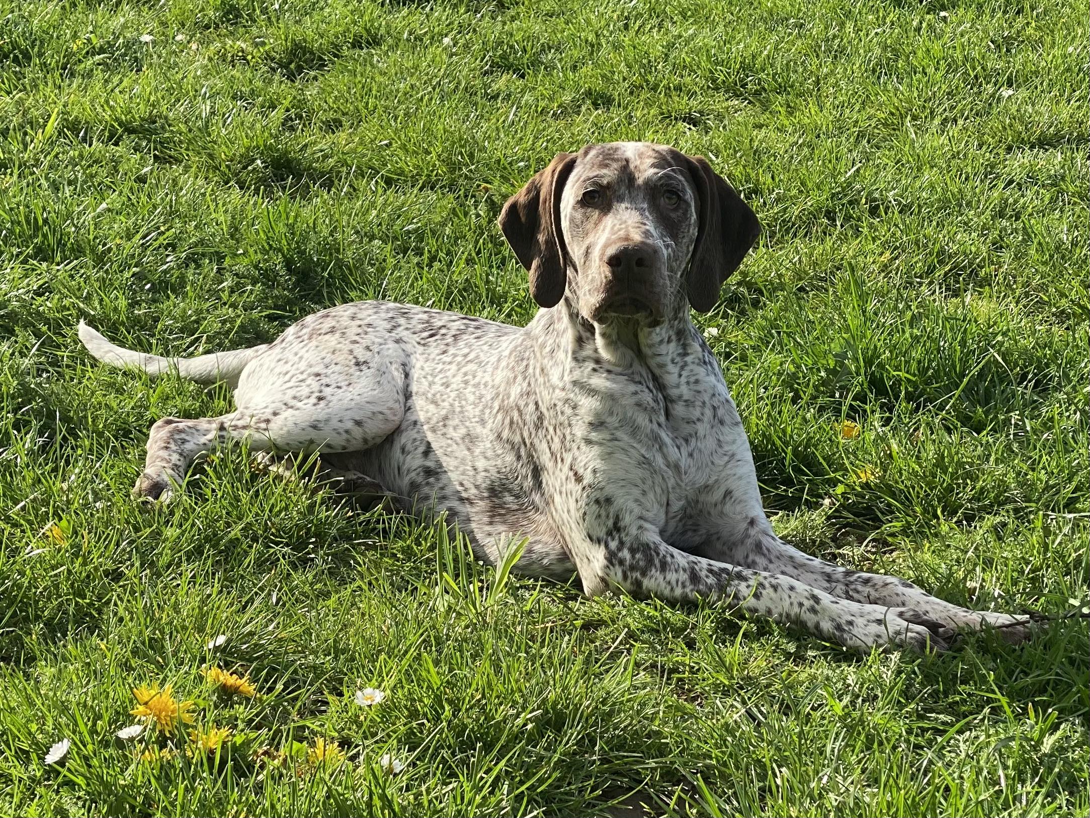 FradaikeeQuickSilver