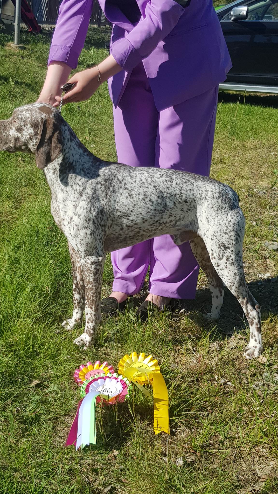 SpectroliteSNewYearLoverboy