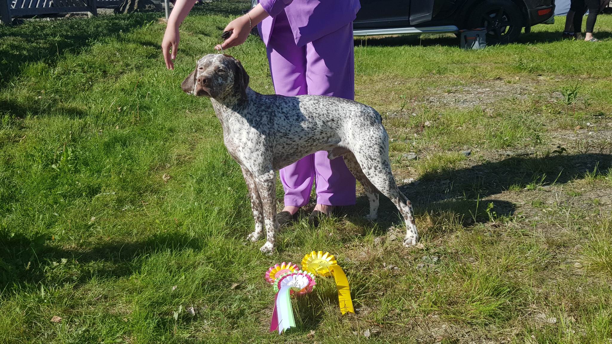 SpectroliteSNewYearLoverboy