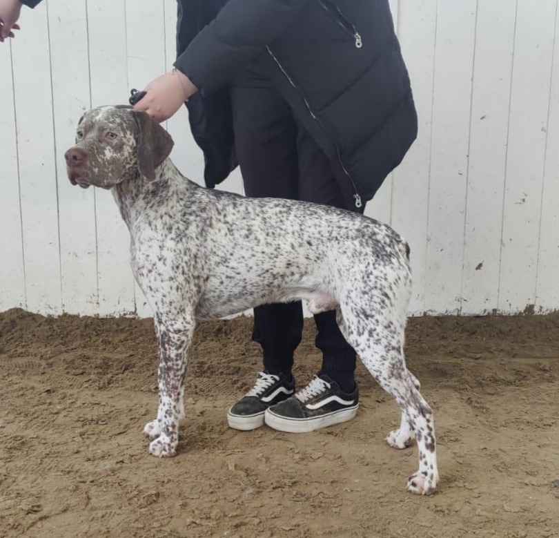 SpectroliteSNewYearLoverboy