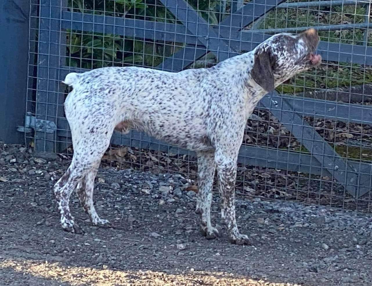 TakodaDesBruyeresDErmitage