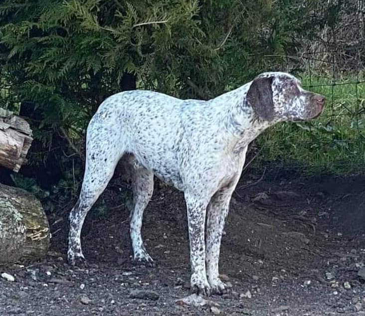 TakodaDesBruyeresDErmitage