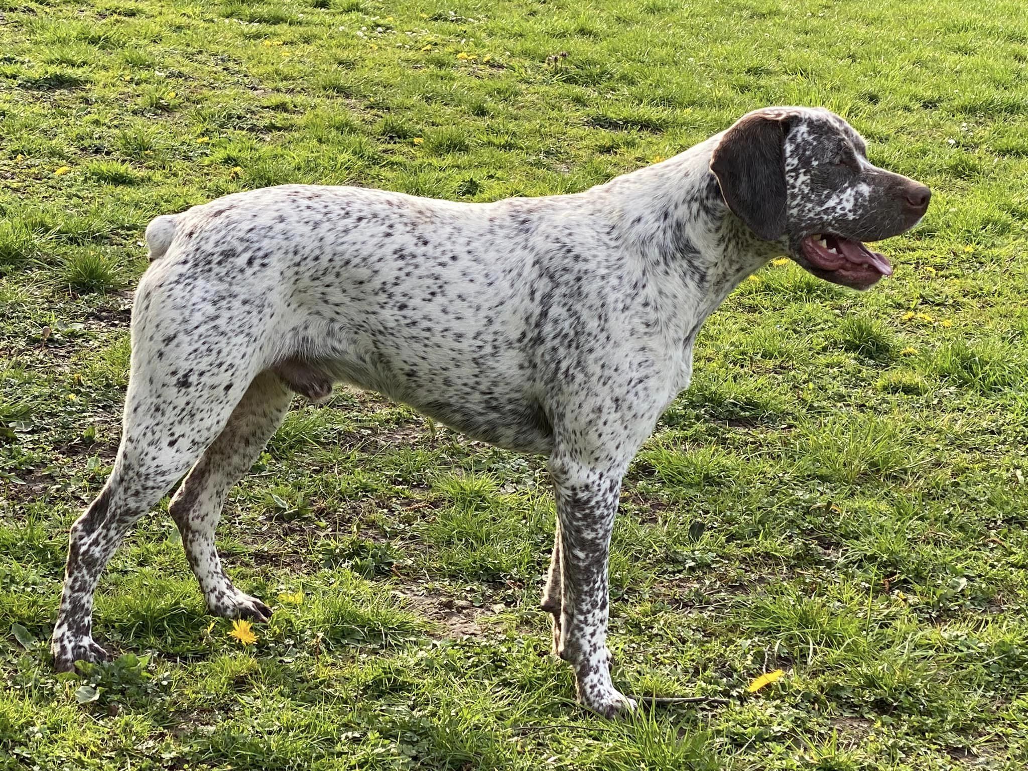 TakodaDesBruyeresDErmitage