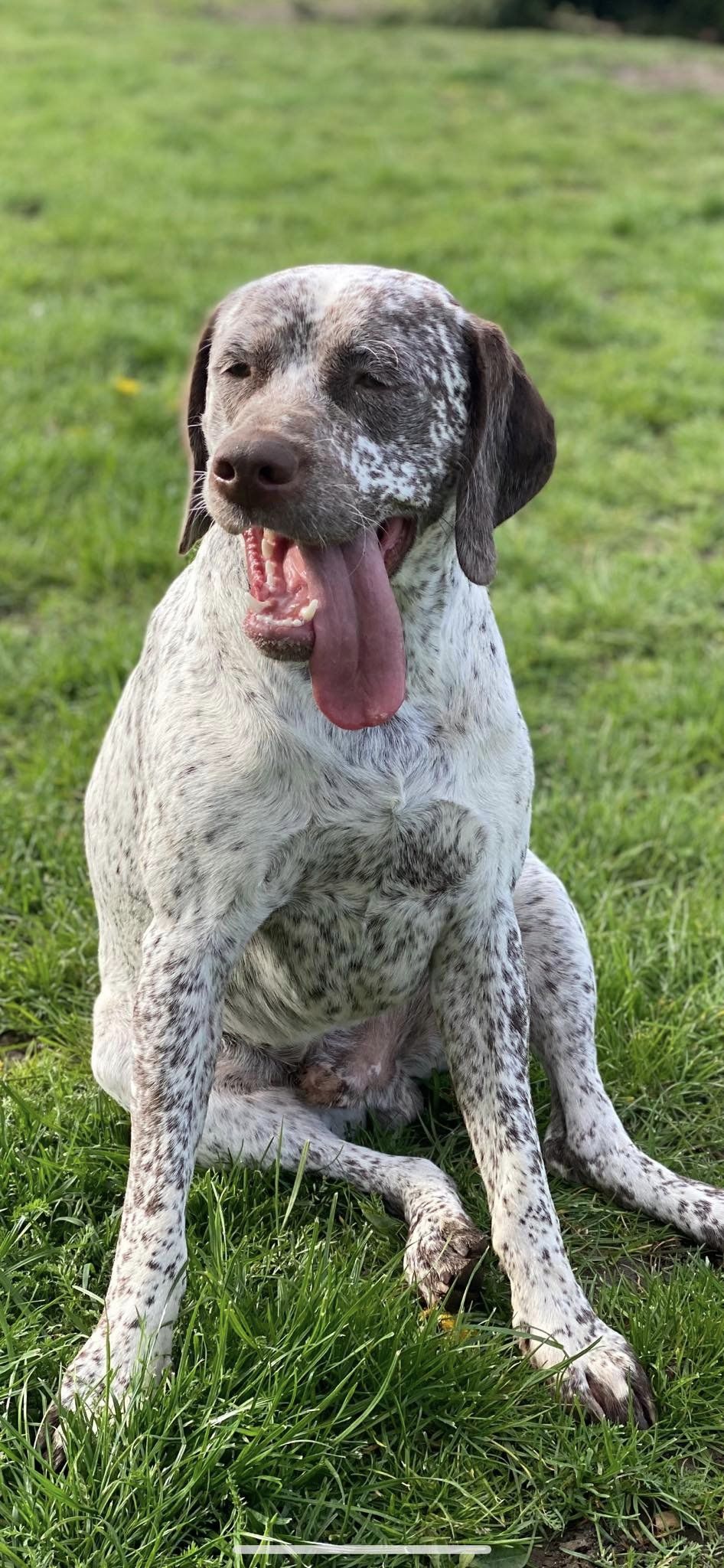 TakodaDesBruyeresDErmitage