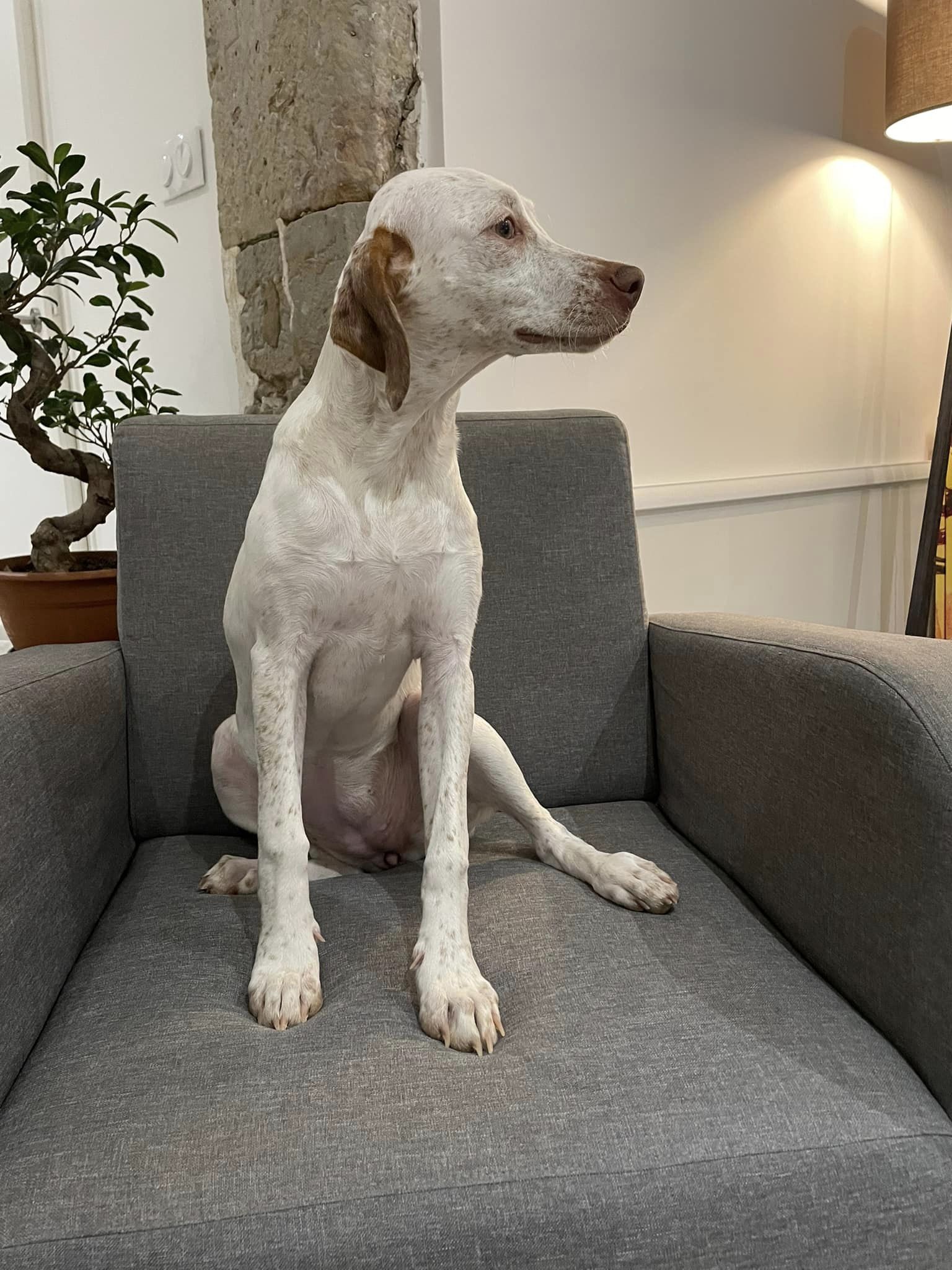 TemisDesPetitsMariols