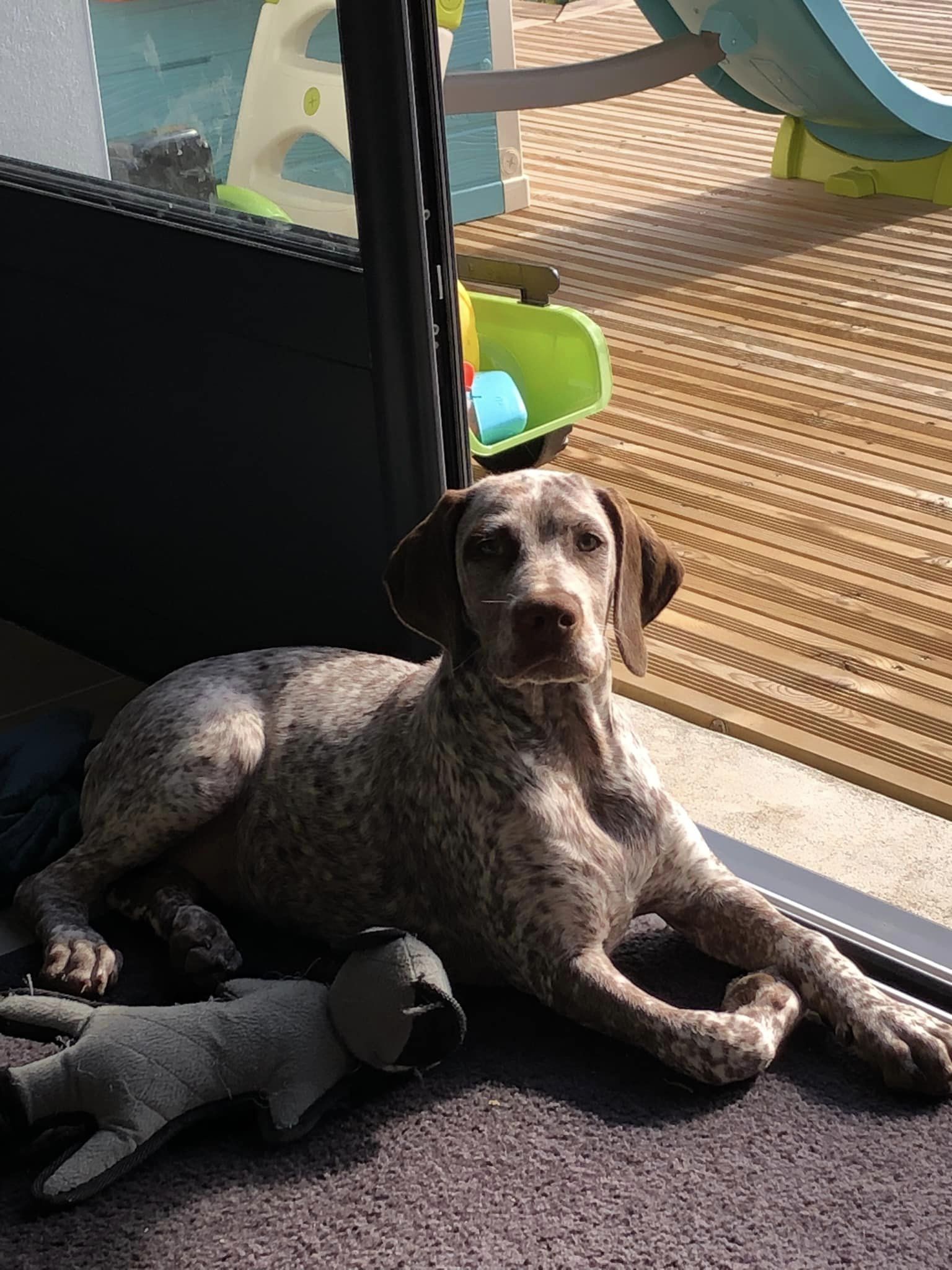 ThorDesPetitsMariols