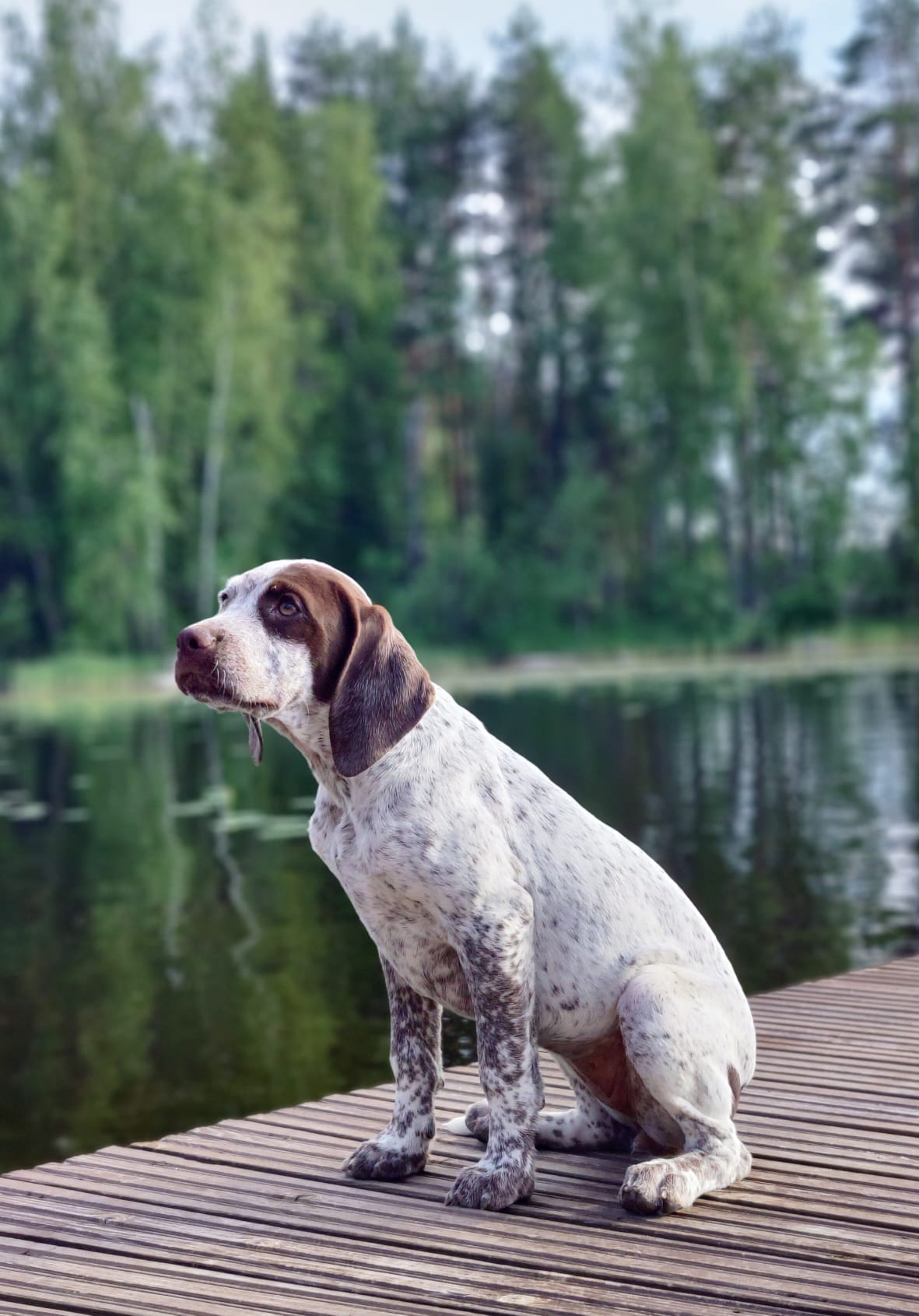 ToveDeLaFontaineDesDomes