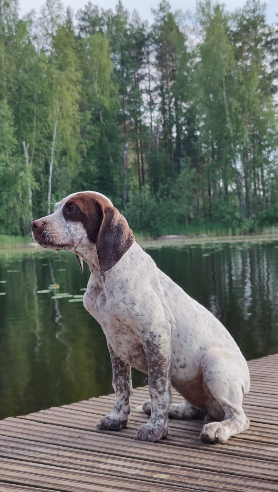 ToveDeLaFontaineDesDomes