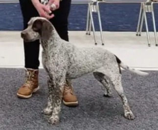 ToveDeLaFontaineDesDomes