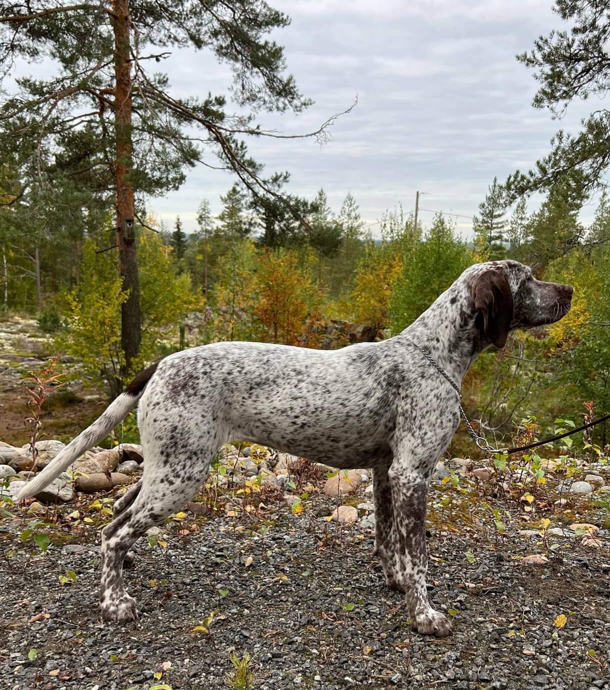 ToveDeLaFontaineDesDomes