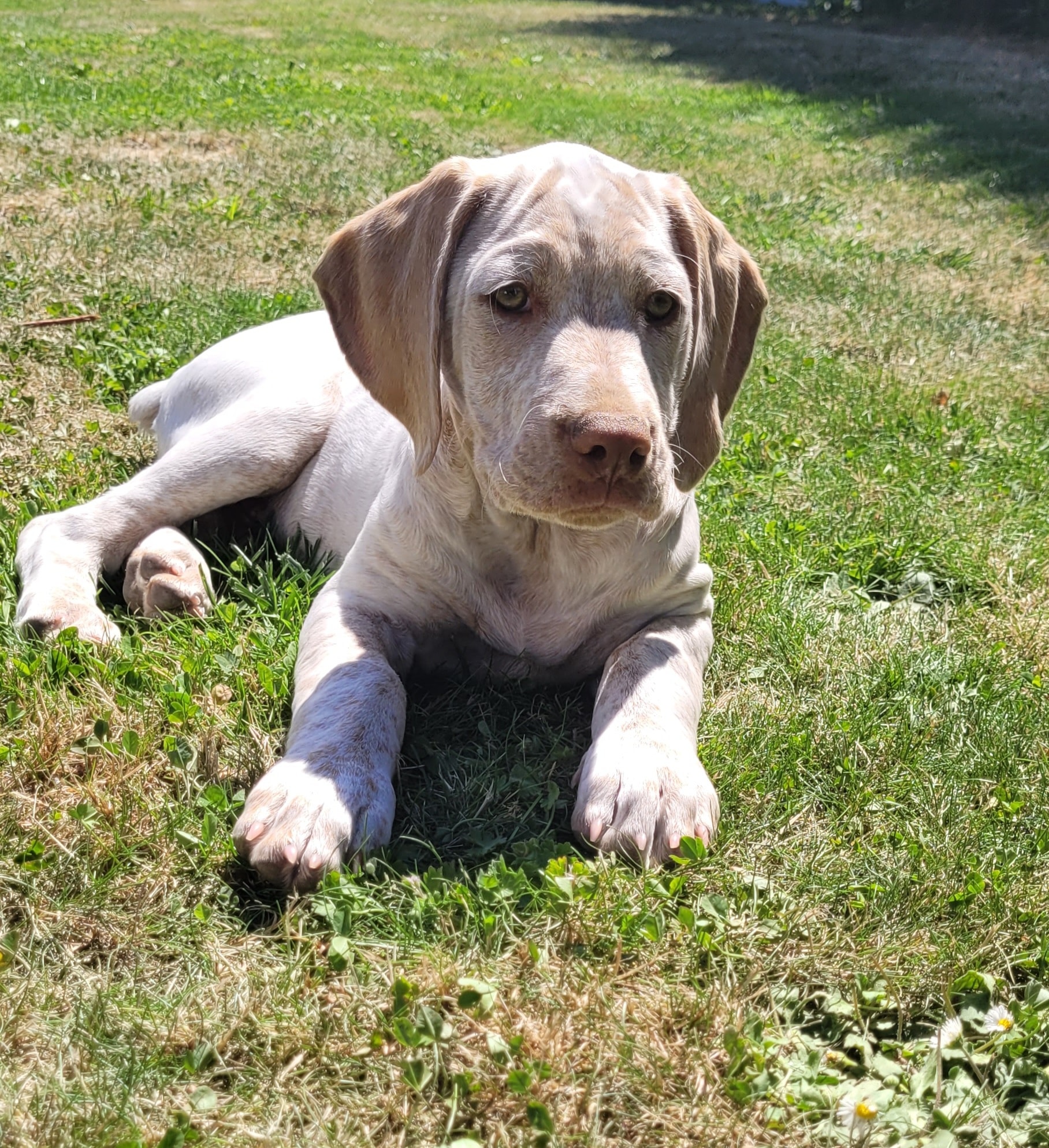 TwixDesPortesDeLAvesnois