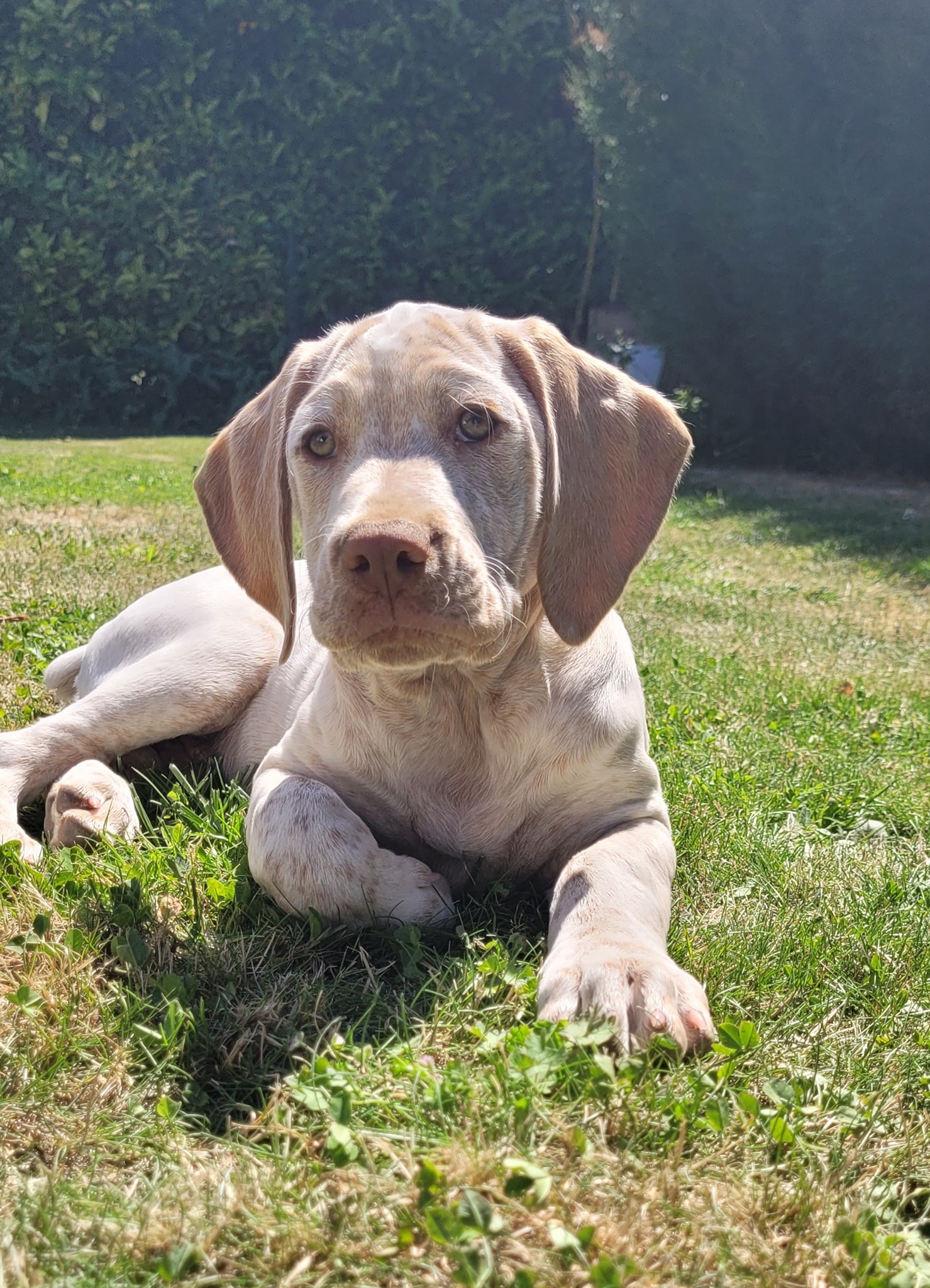 TwixDesPortesDeLAvesnois