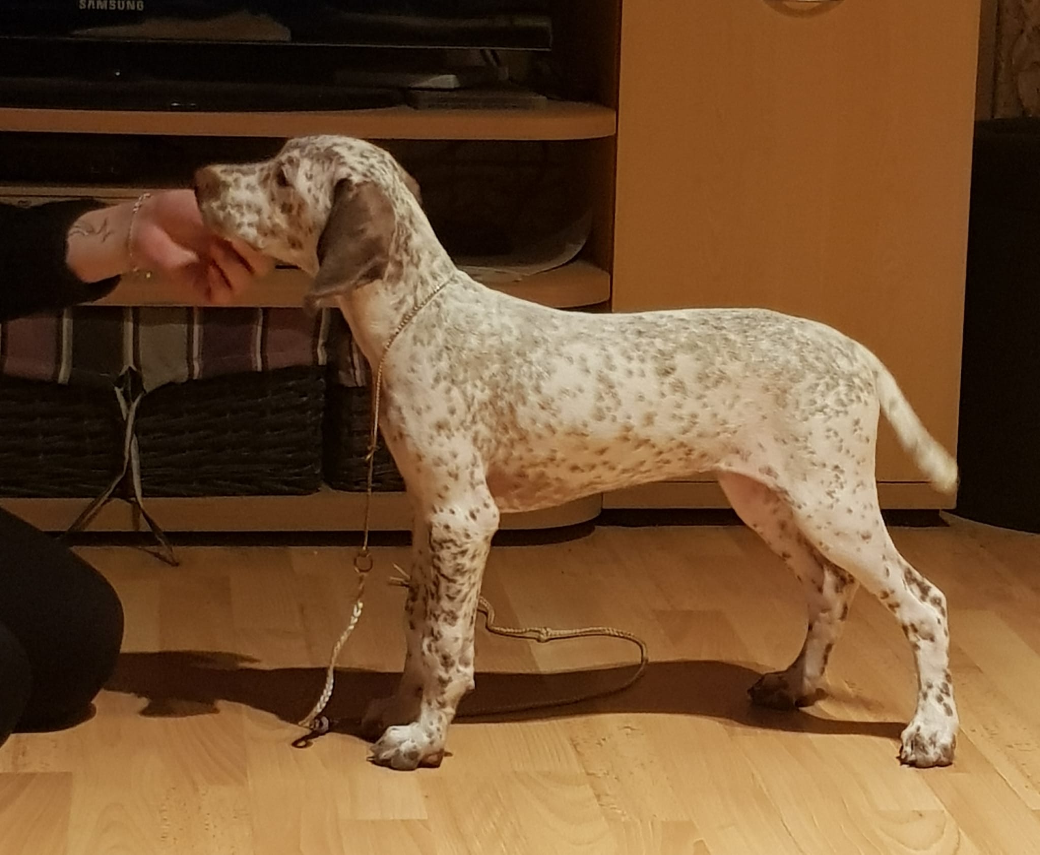 BananaMilkshakeTopBanana