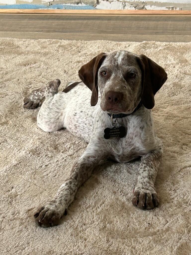 UbenDesPlainesDuPaysDeThelle