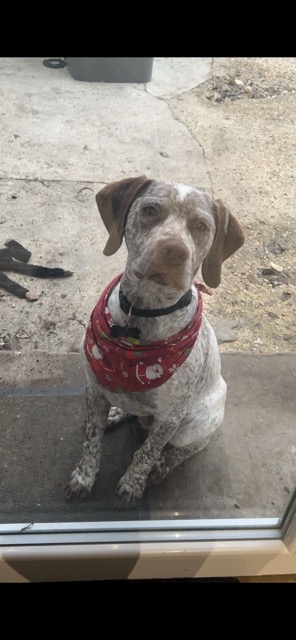 UbenDesPlainesDuPaysDeThelle