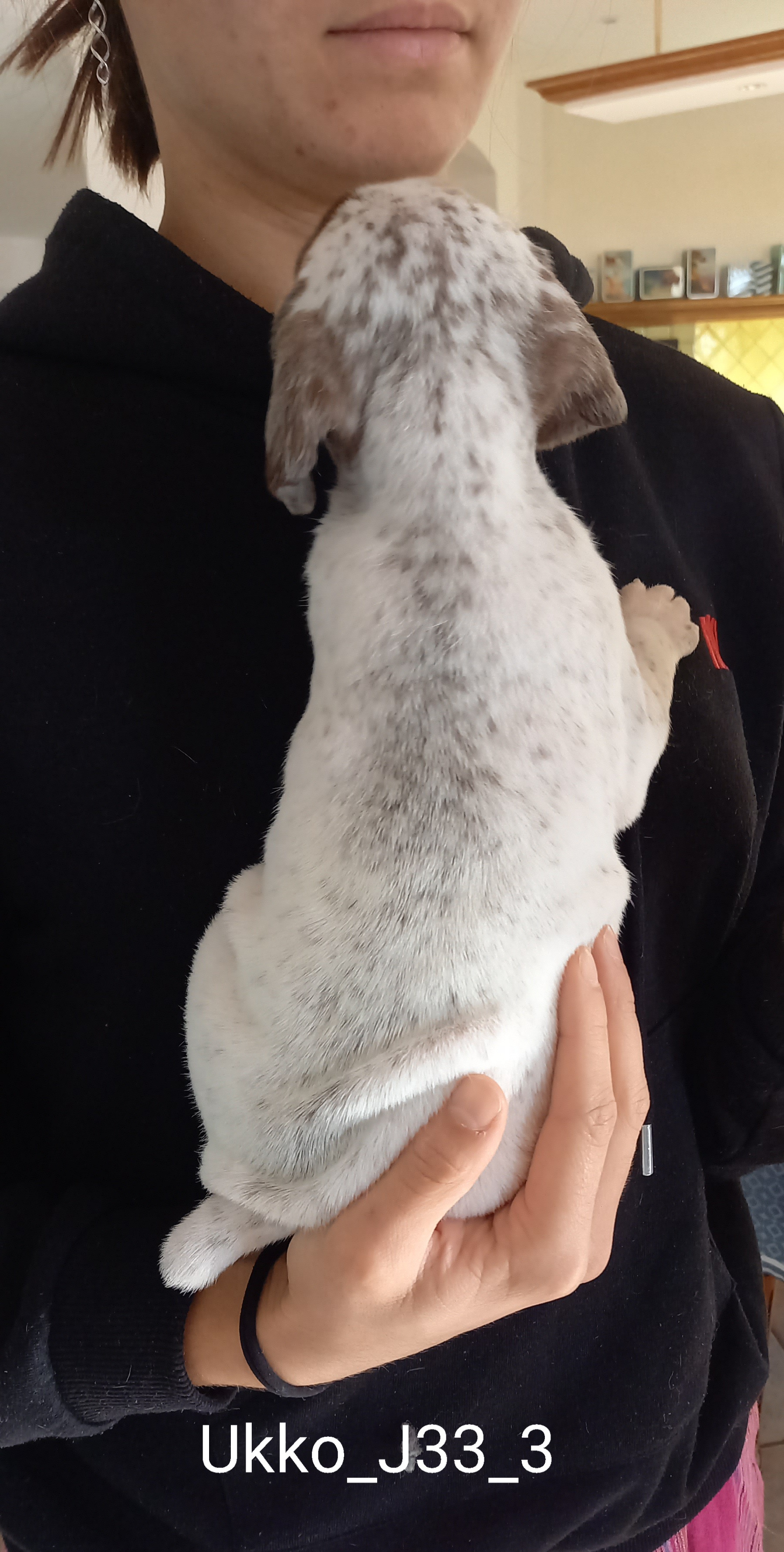 UkkoDuRocherDesJastres