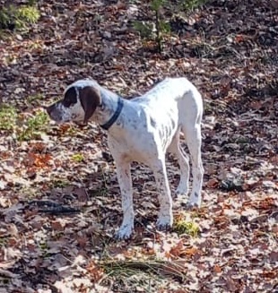 UkkoDuRocherDesJastres