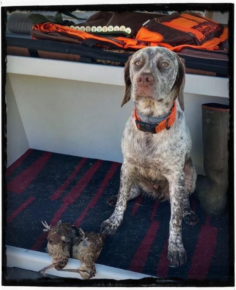 UltraDuMaraisBecassier