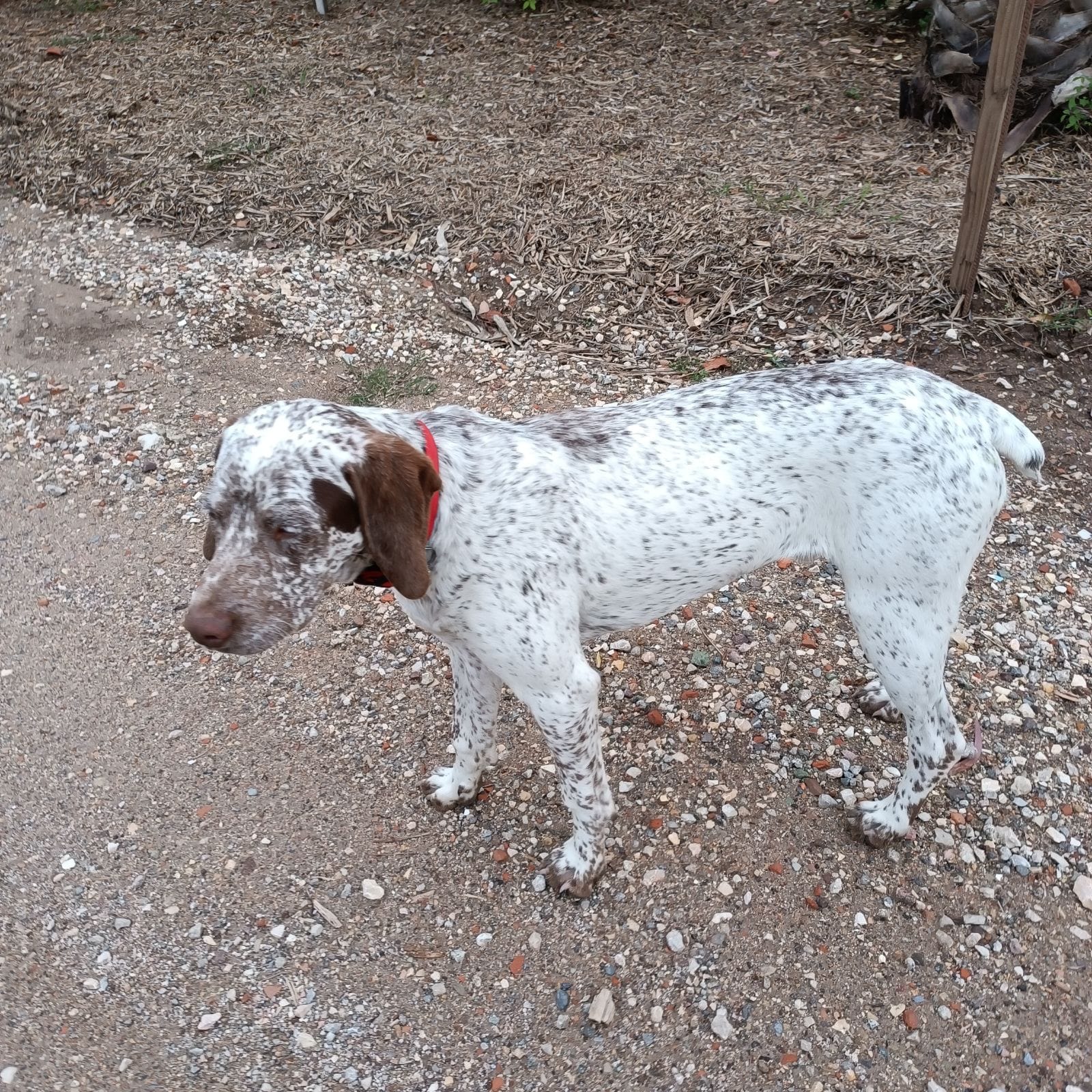 UlysseDuRocherDesJastres