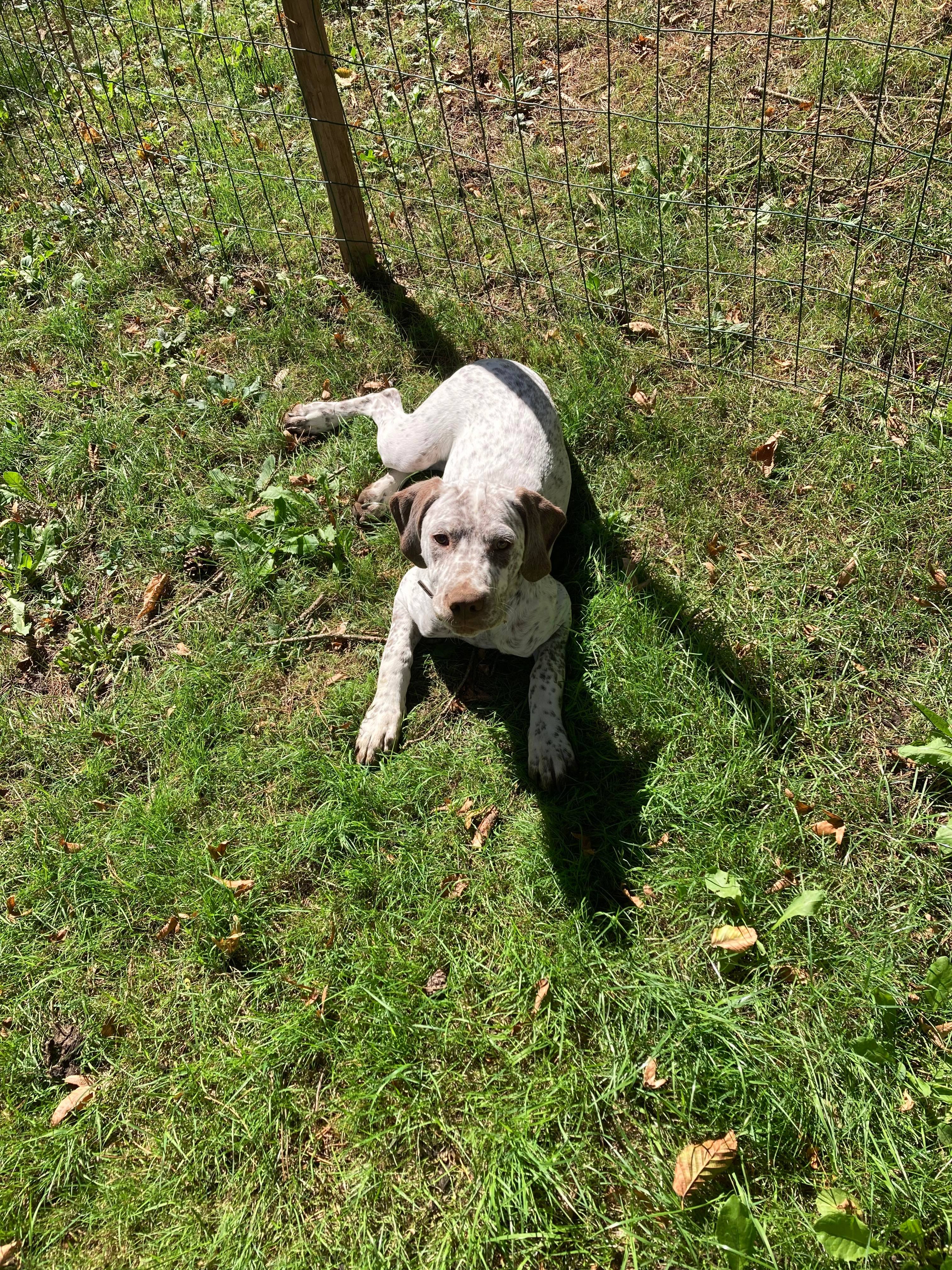 UnaDesPlainesDuPaysDeThelle