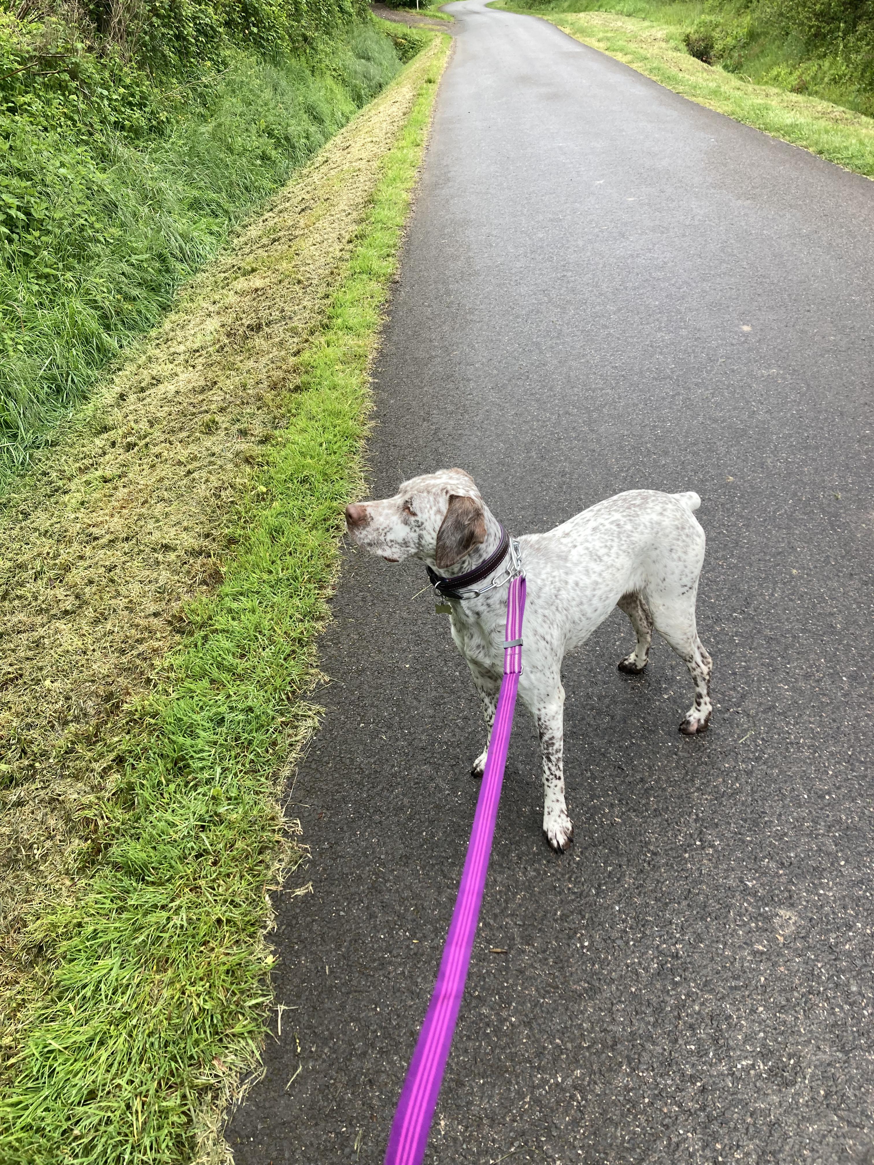 UnaDesPlainesDuPaysDeThelle