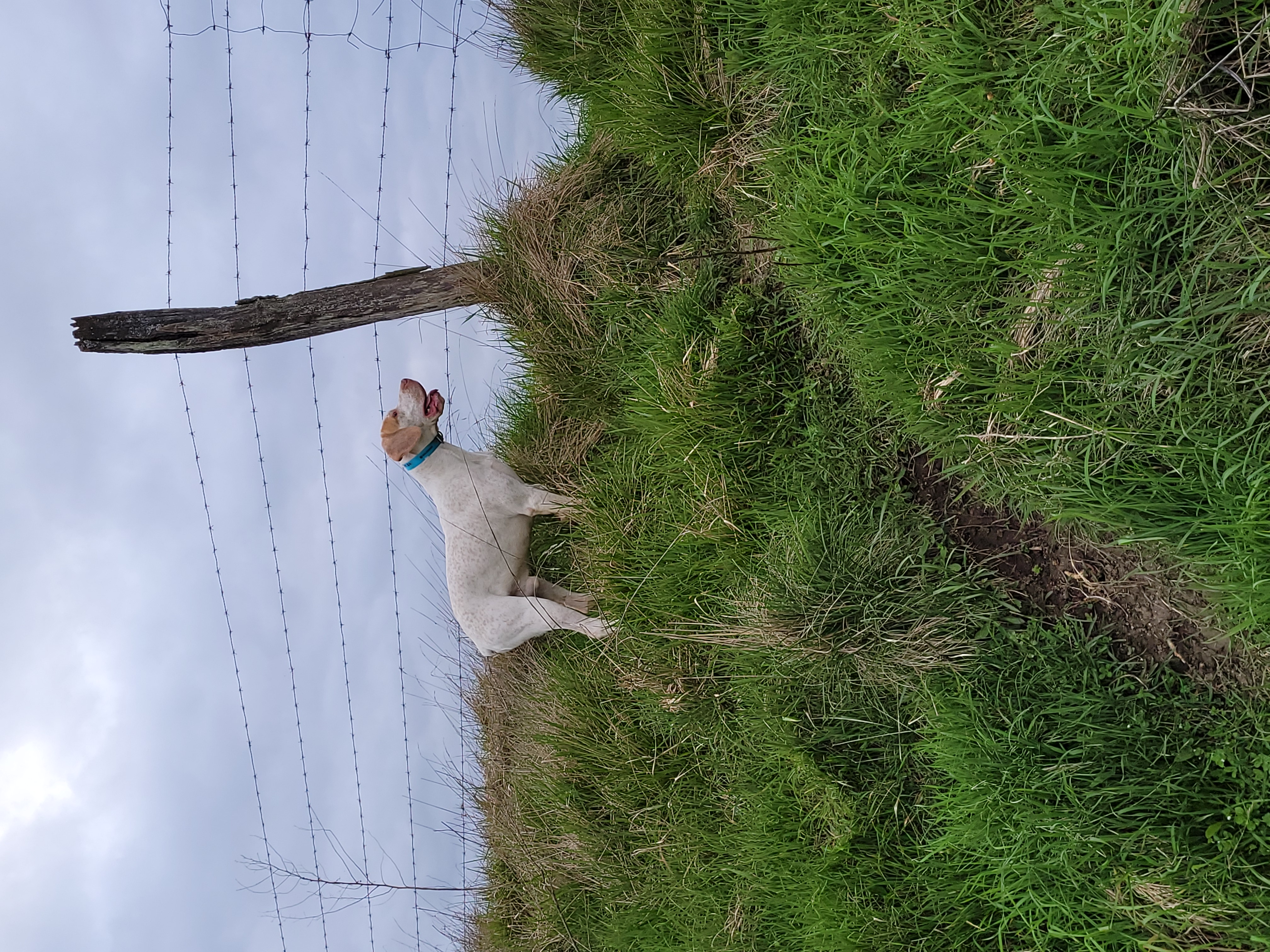 UnikDesPlainesDuPaysDeThelle