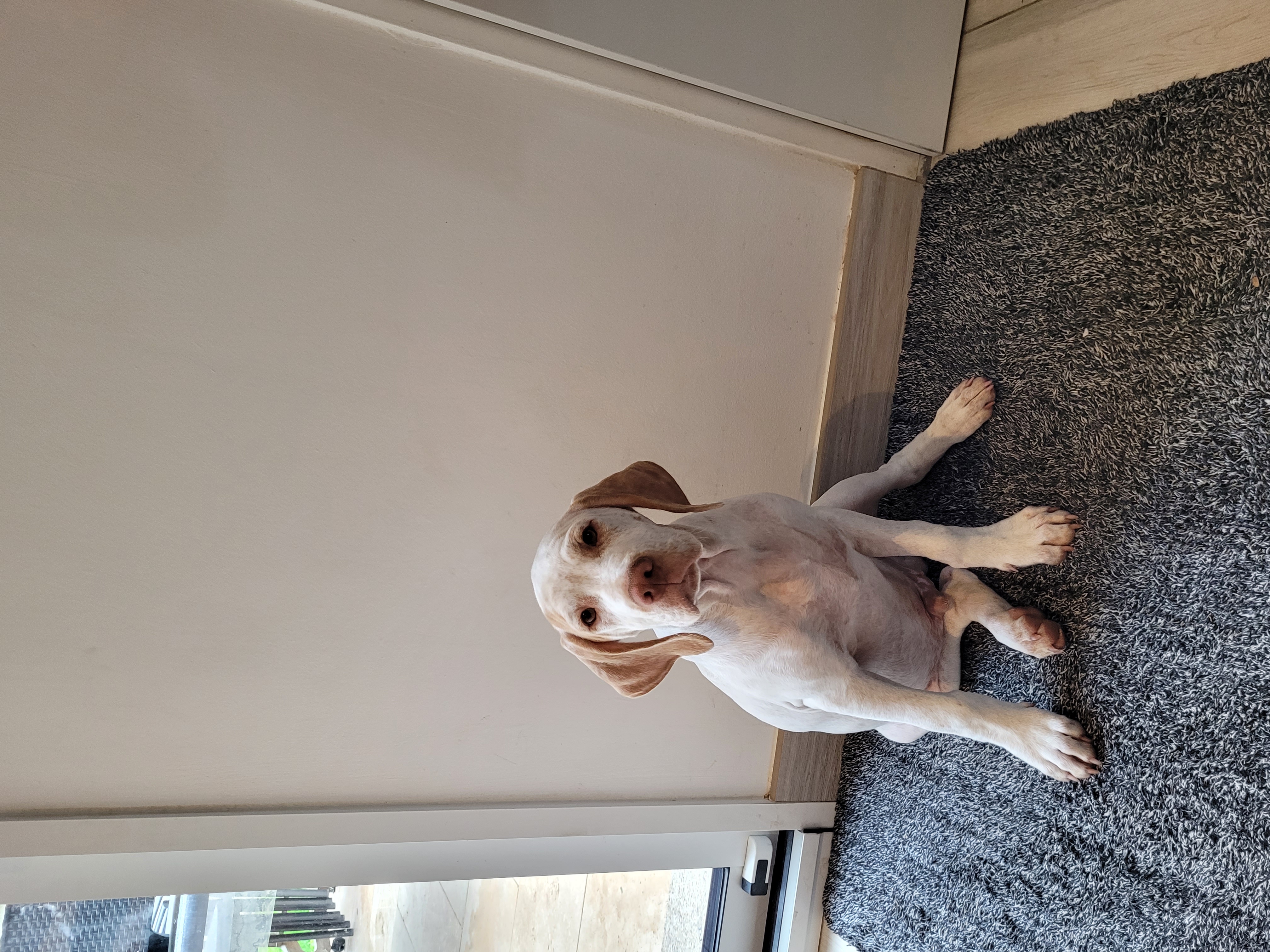 UnikDesPlainesDuPaysDeThelle