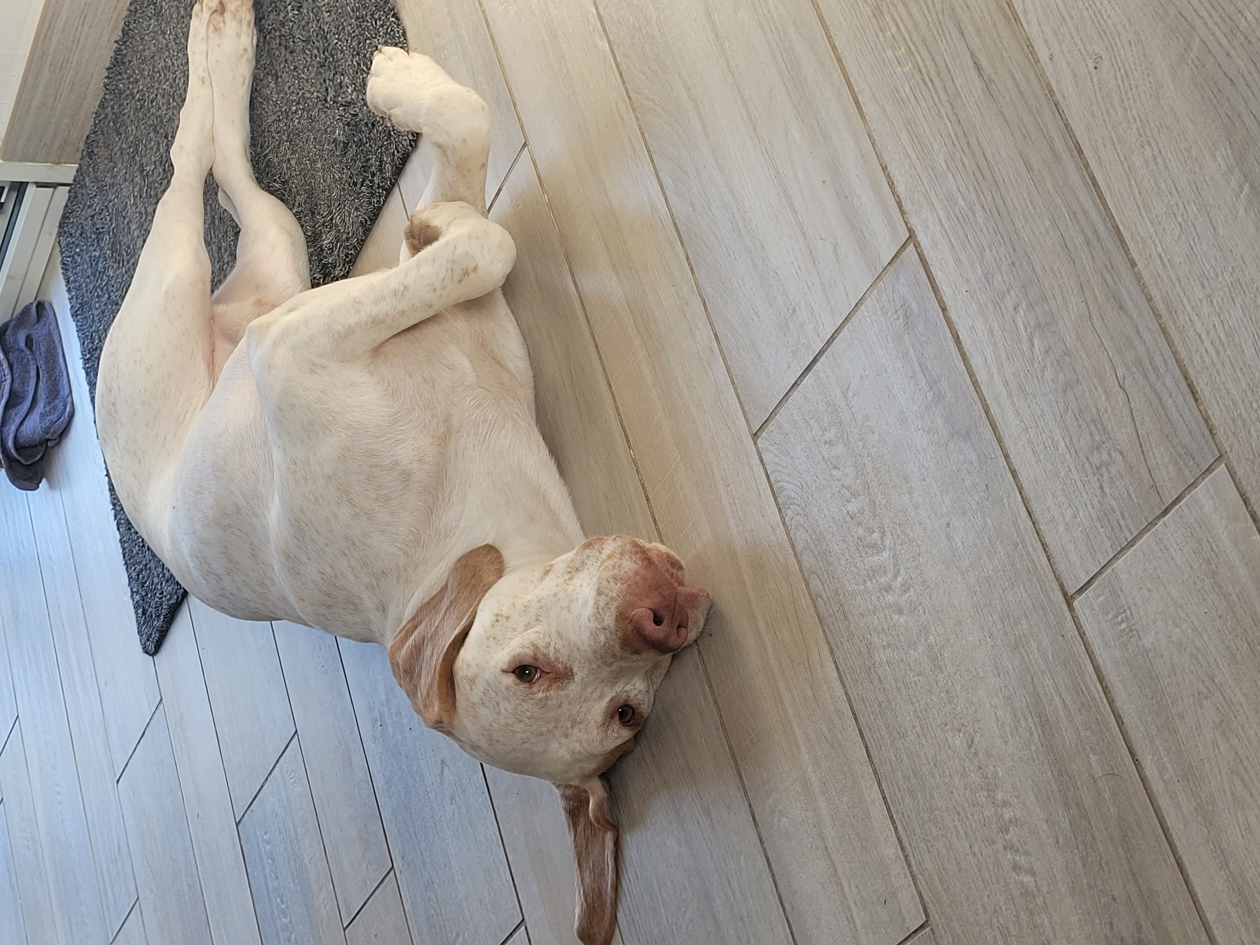 UnikDesPlainesDuPaysDeThelle